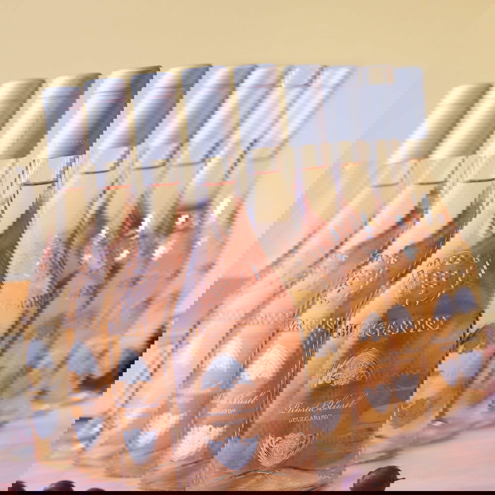 9er-Sparpaket Chiaretto Garda Classico 2025 Rosa Blush