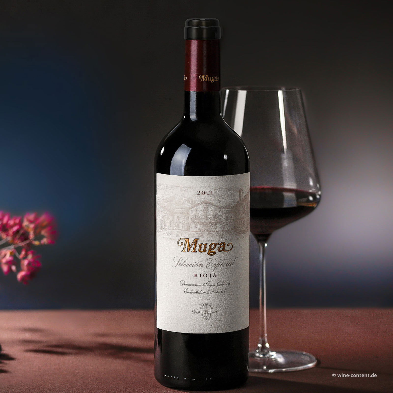 Rioja Reserva 2021 Selección Especial