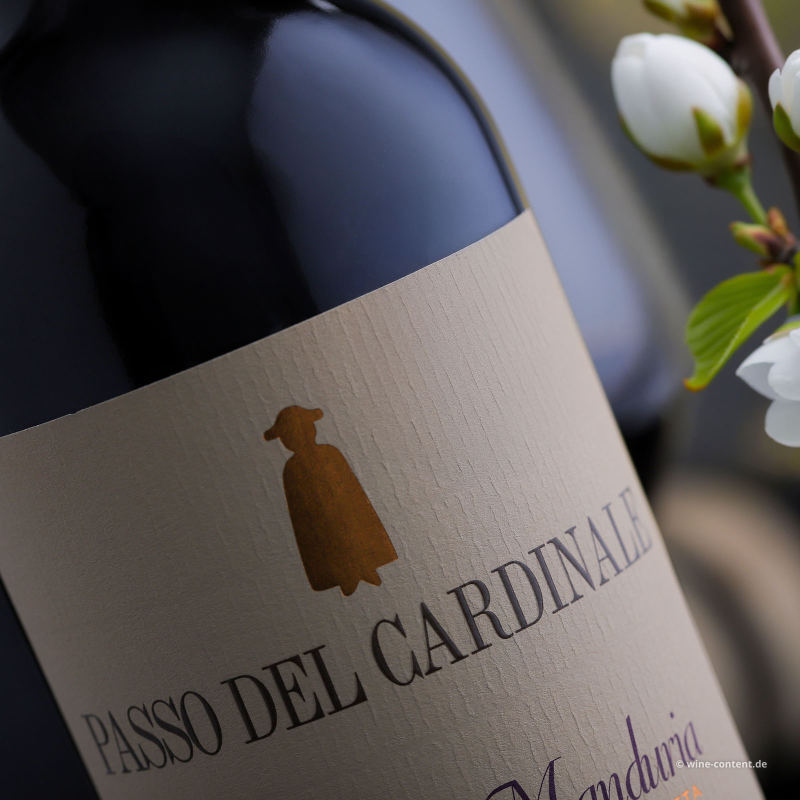 Primitivo di Manduria 2024 Passo del Cardinale