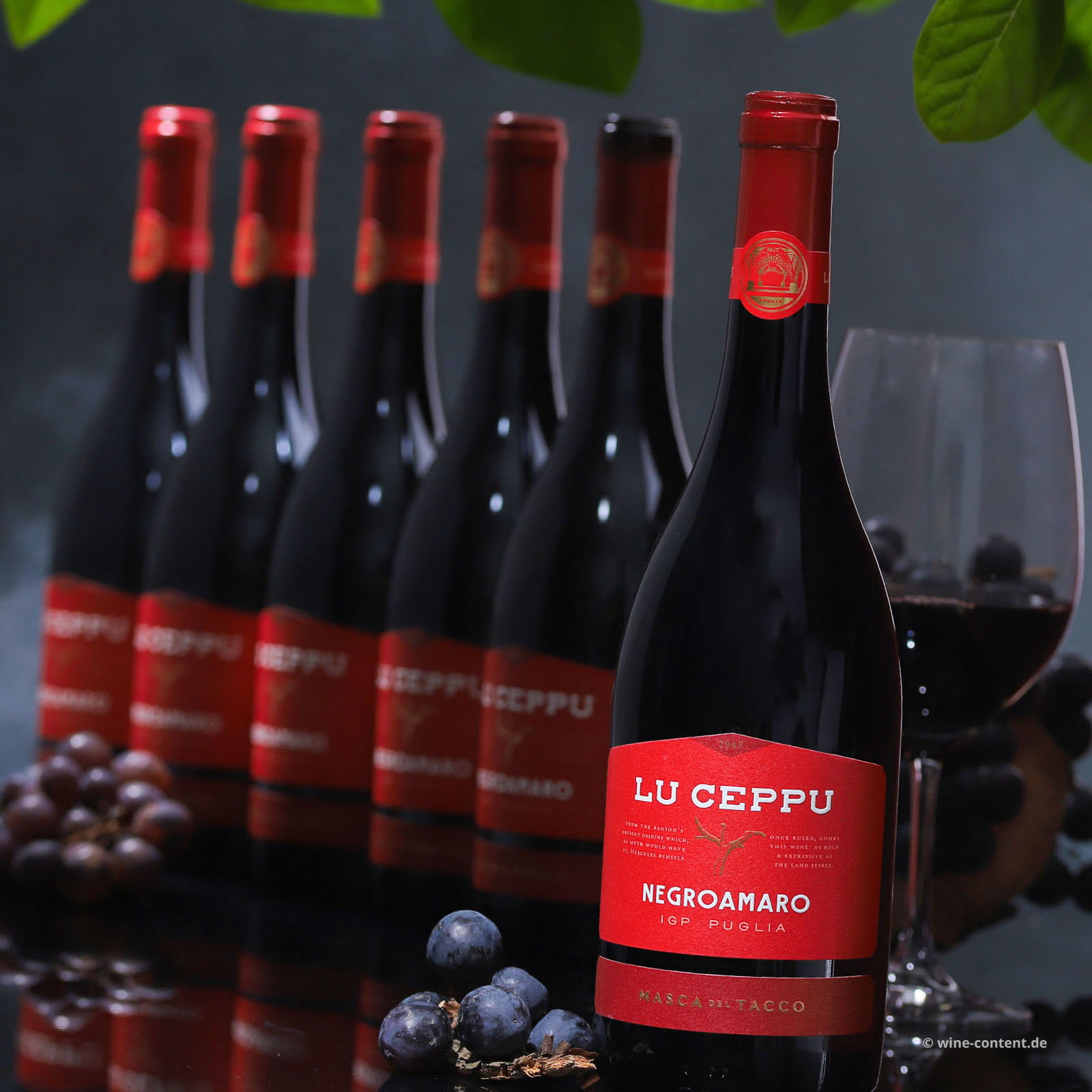 6er-Sparpaket Negroamaro 2025 Lu Ceppu