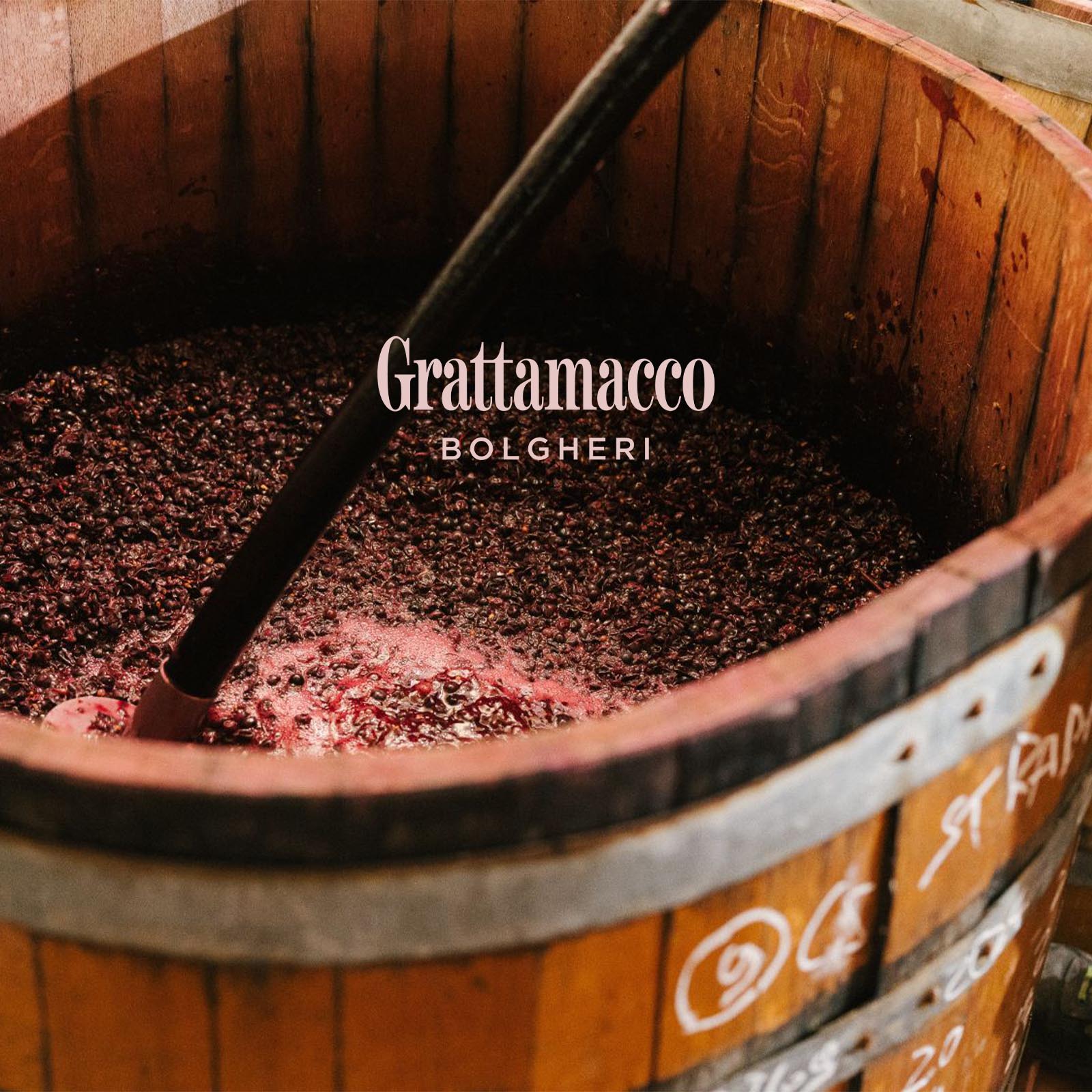 Bolgheri Rosso Superiore 2022 Bio