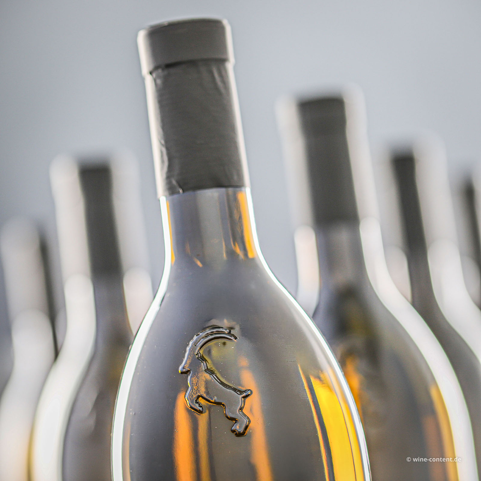 6er-Sparpaket Pinot Bianco 2025