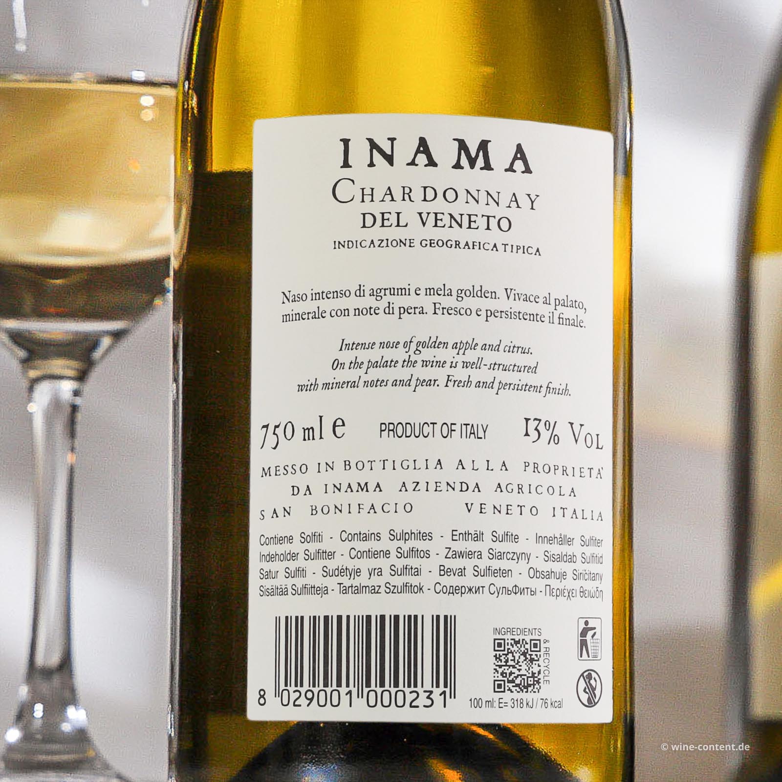 Chardonnay del Veneto 2024 Chardonnay del Veneto 2024