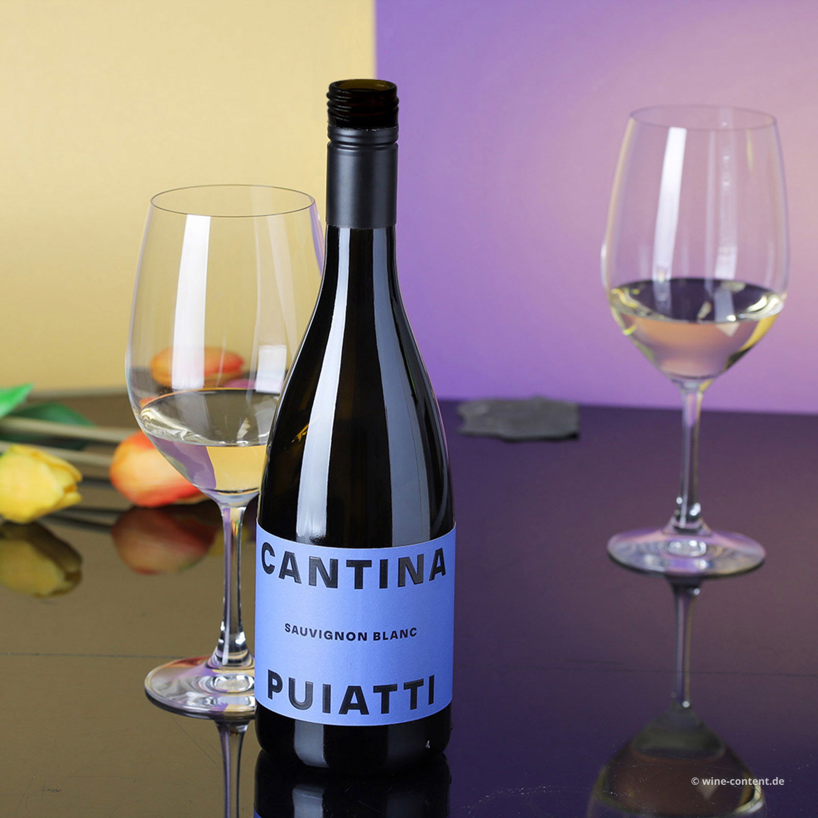 Sauvignon Blanc 2025