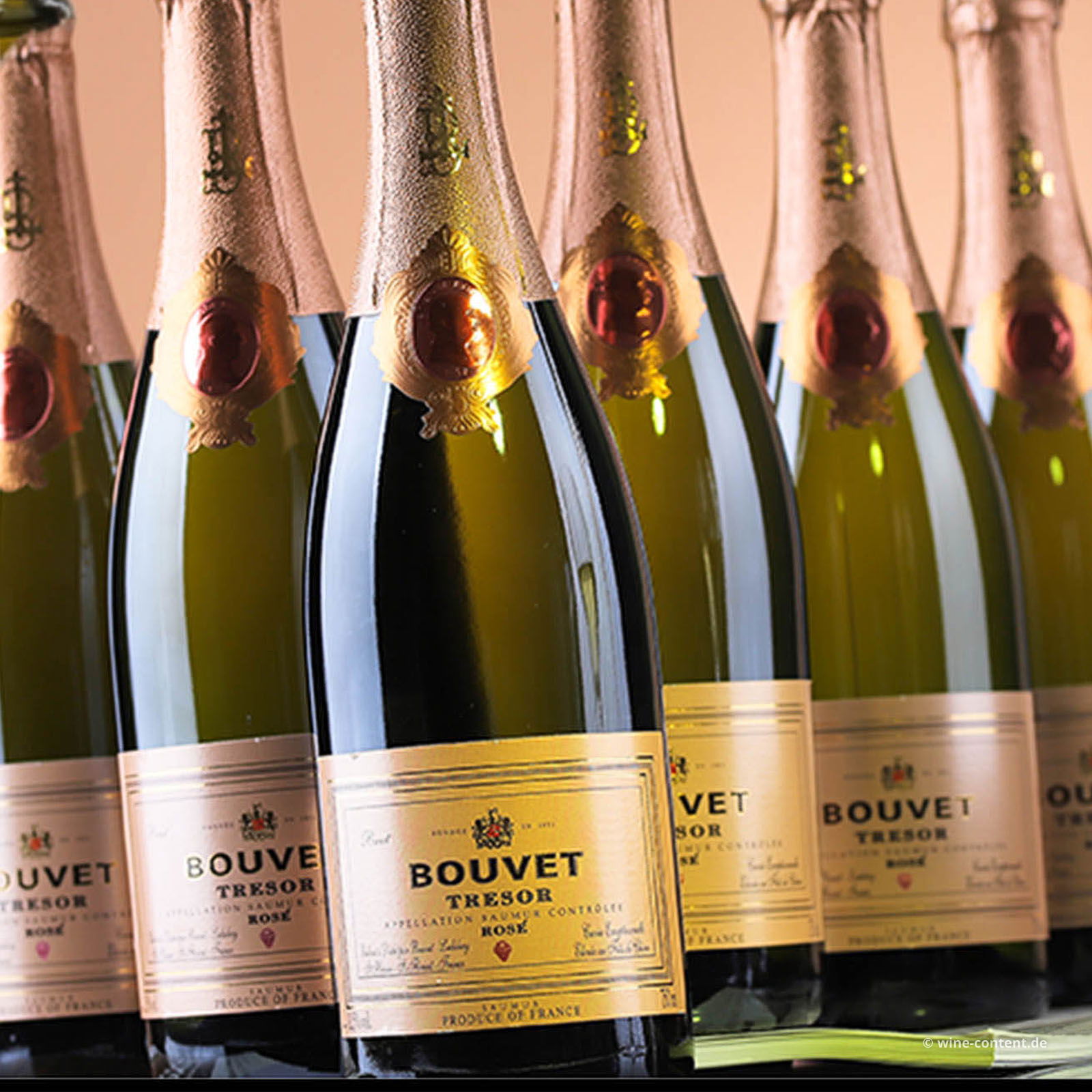 6er-Sparpaket Crémant Saumur Rosé Trésor Brut