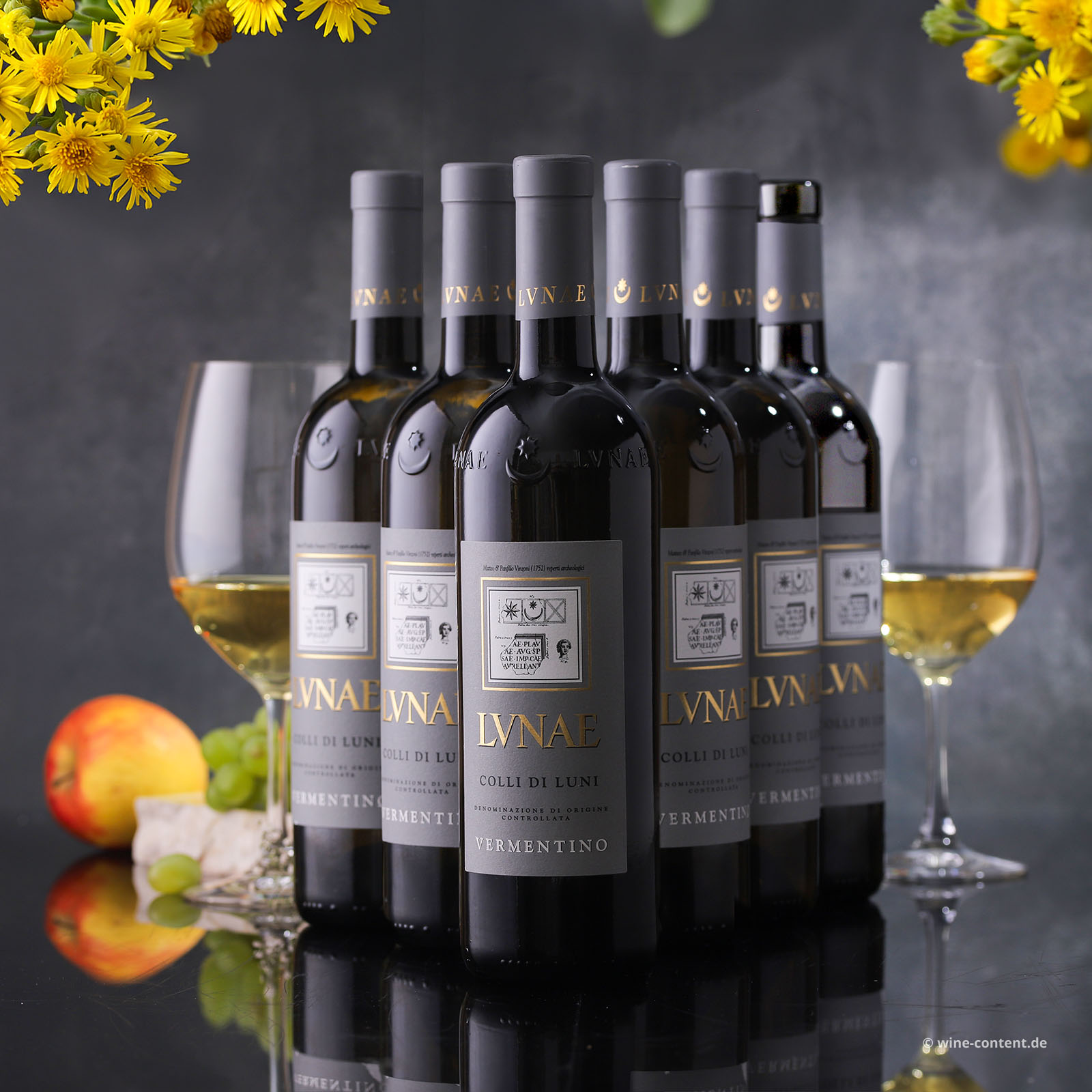 6er-Sparpaket Vermentino Colli di Luni 2025 Etichetta Grigia