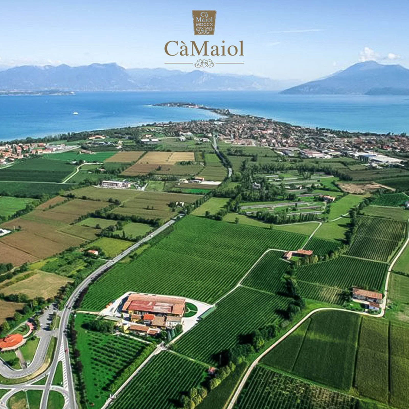 6er-Sparpaket Lugana 2024 Prestige