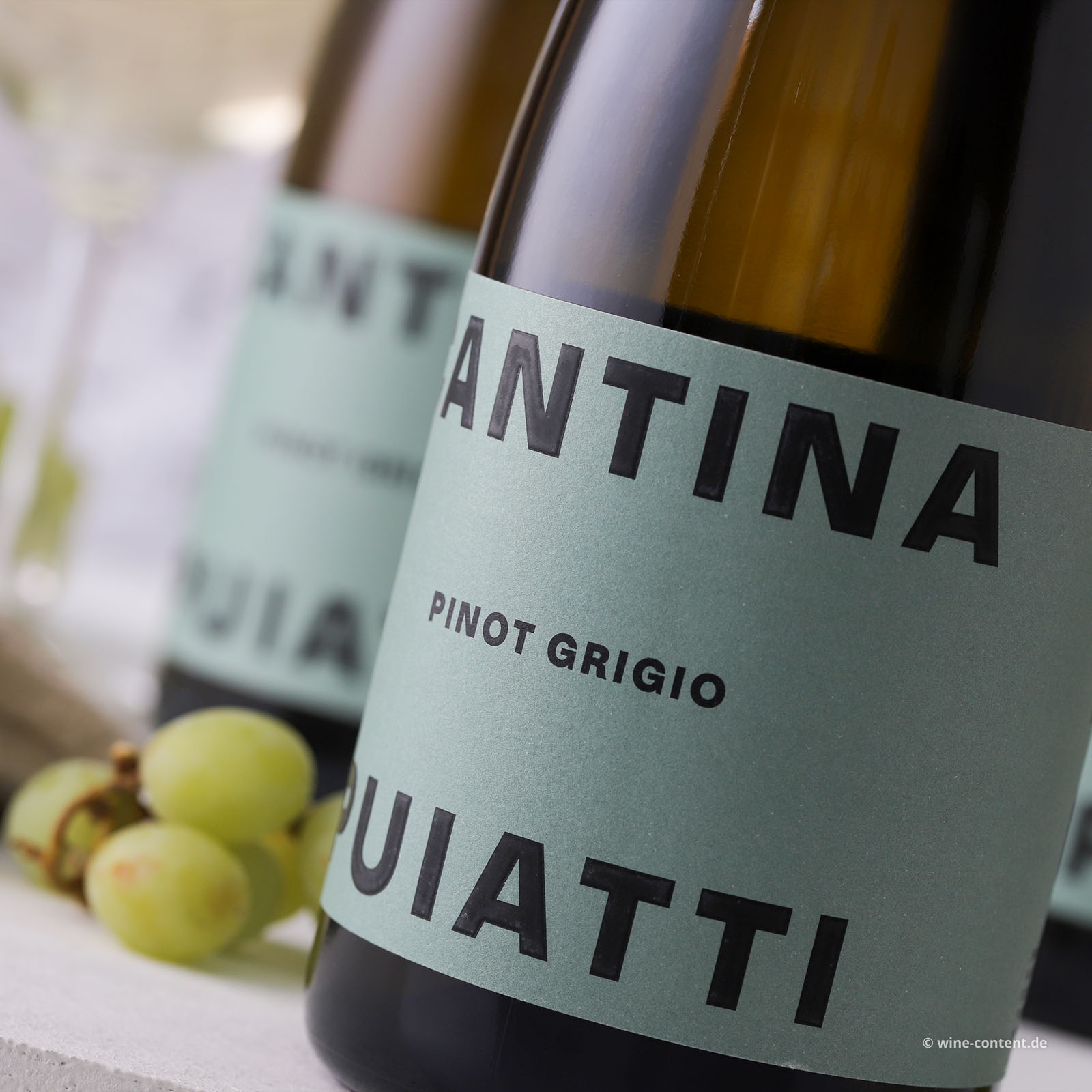 6er-Sparpaket Pinot Grigio 2025