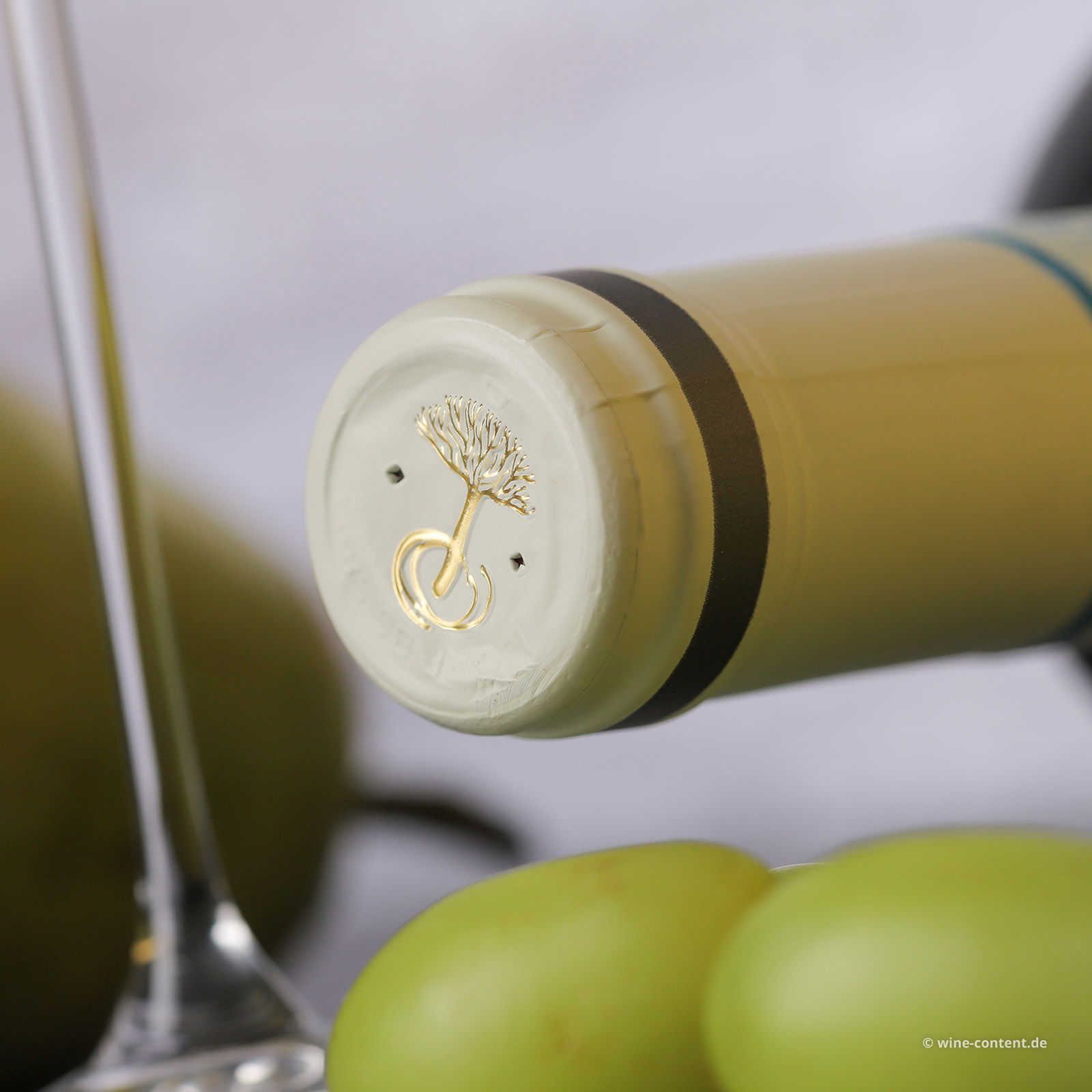 6er-Sparpaket Lugana 2024 Catulliano