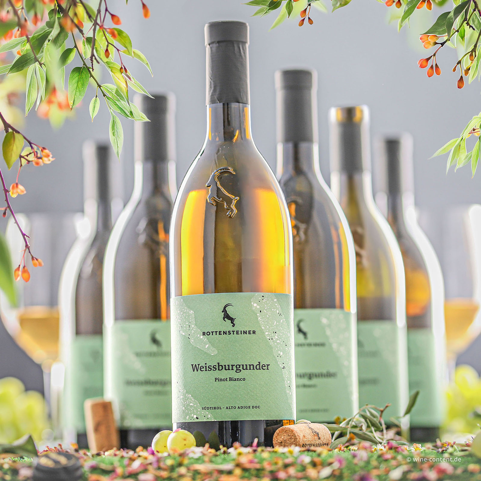 6er-Sparpaket Pinot Bianco 2025