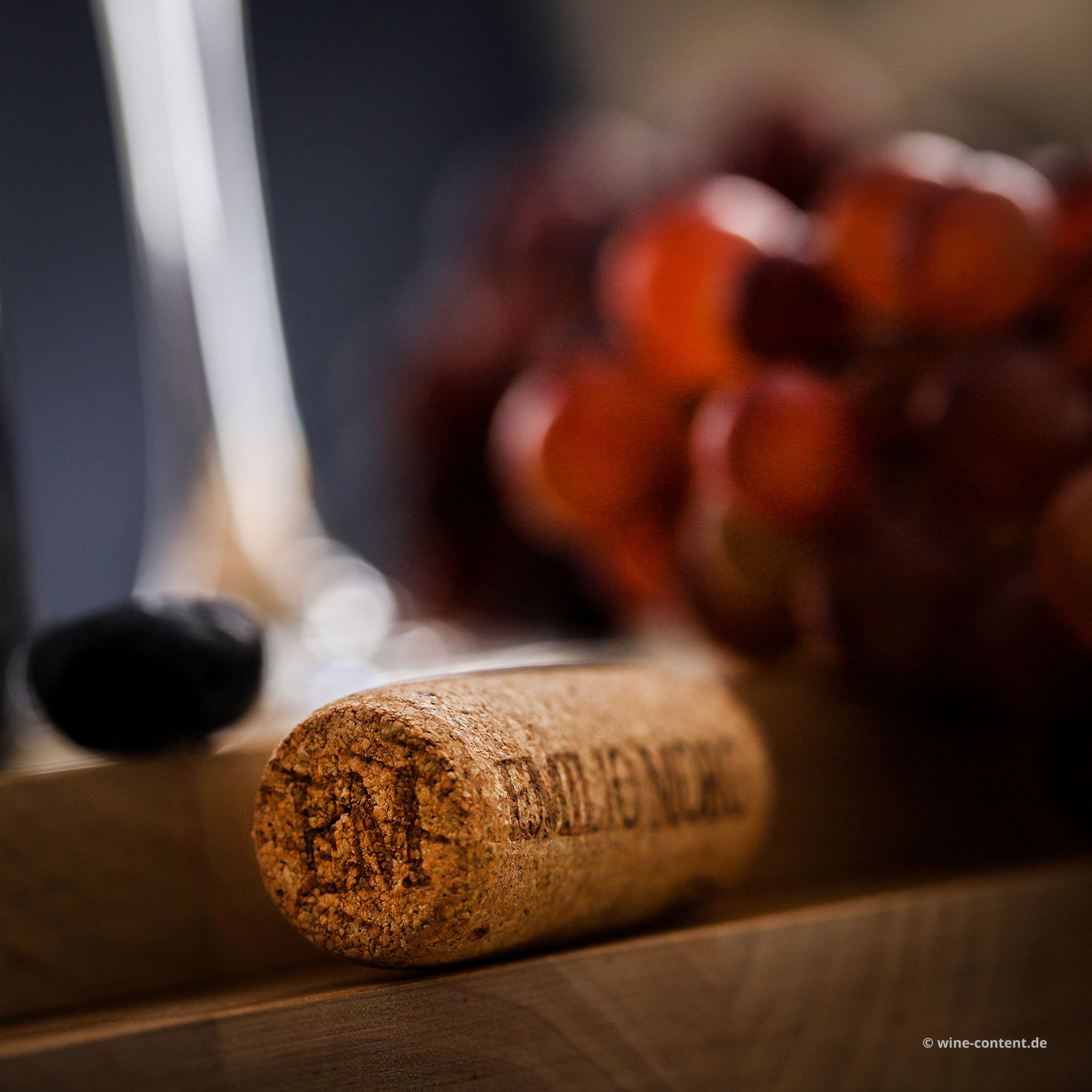 Malleolus de Sanchomartin 2021