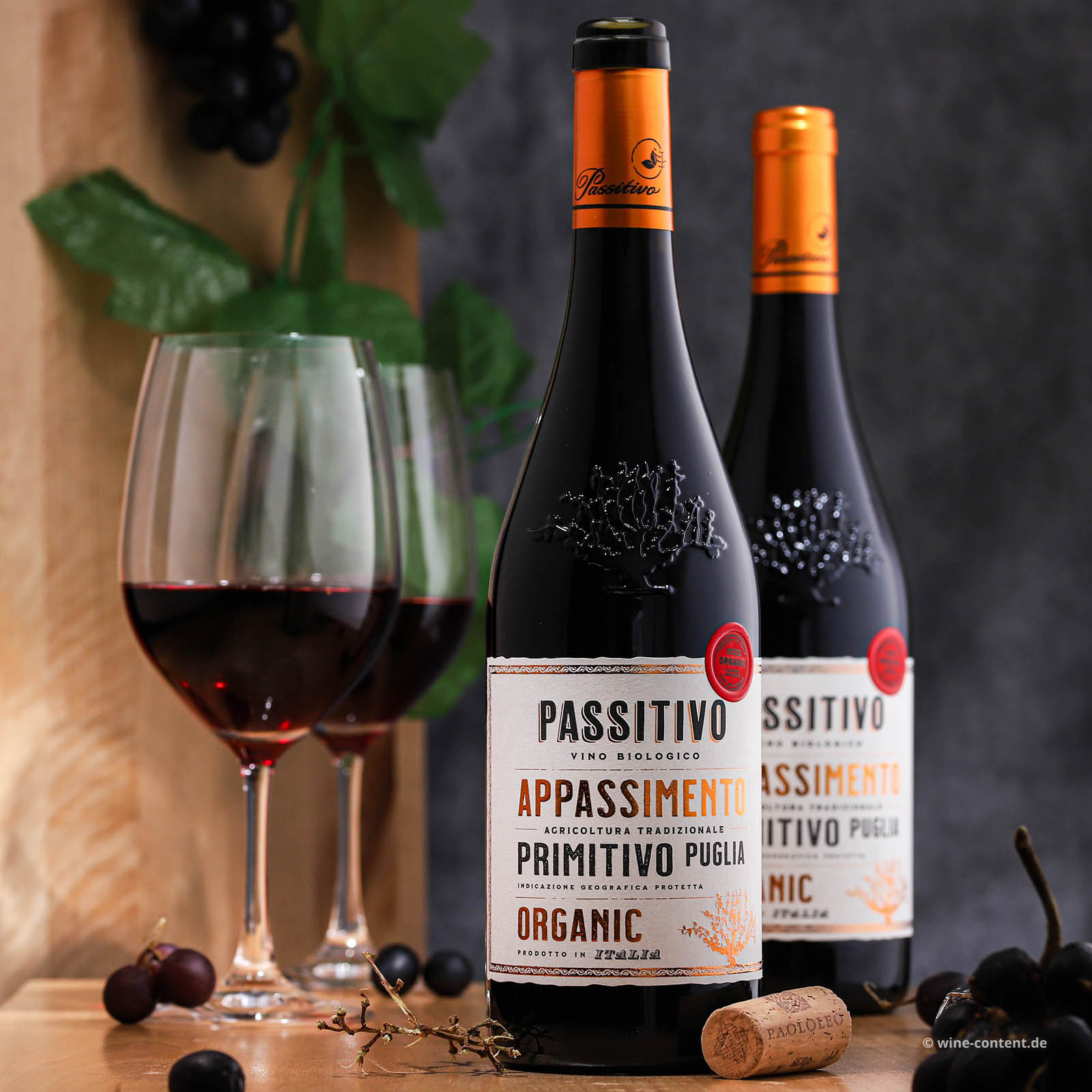 Primitivo 2023 Passitivo Bio