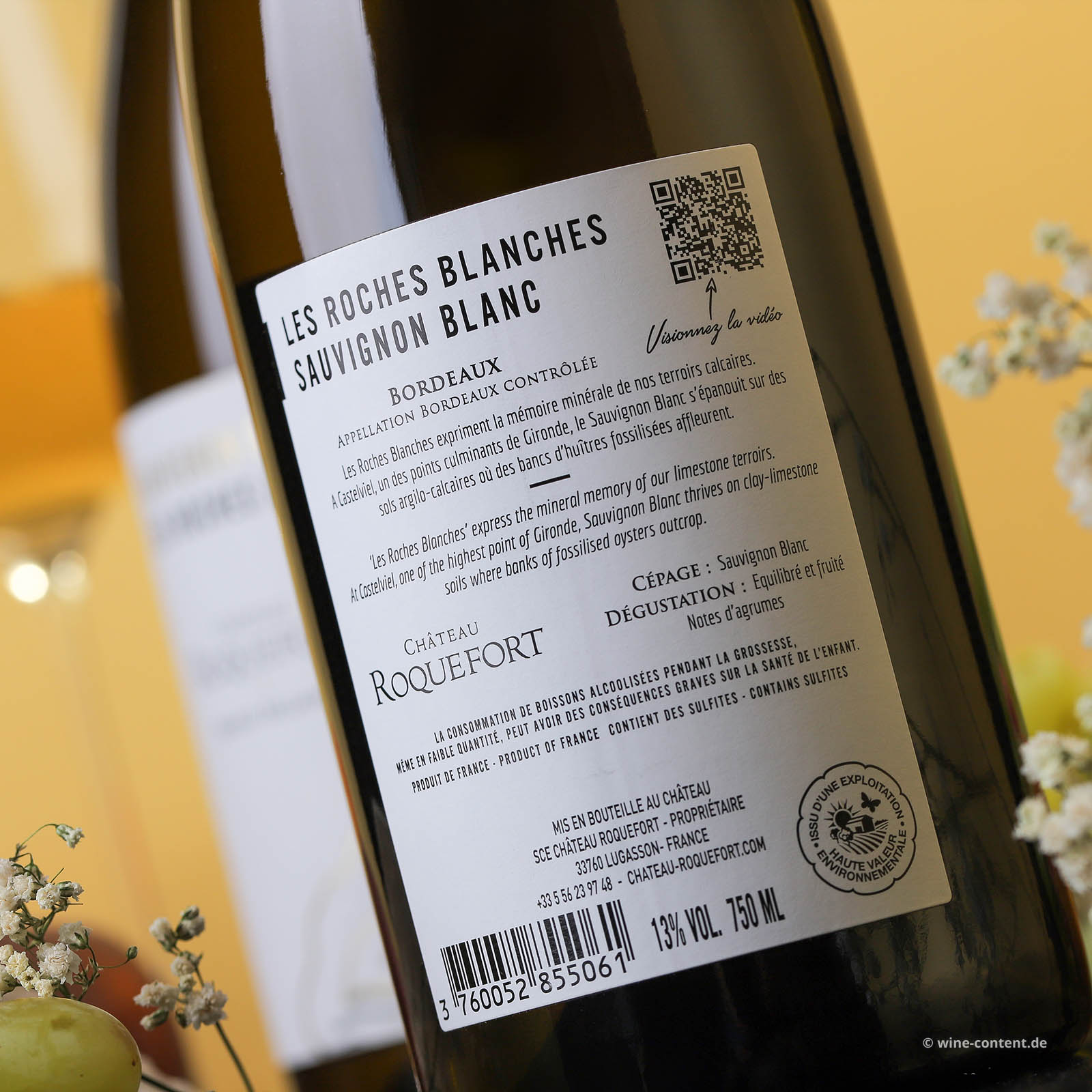 Sauvignon Blanc 2024 Les Roches Blanches Bio