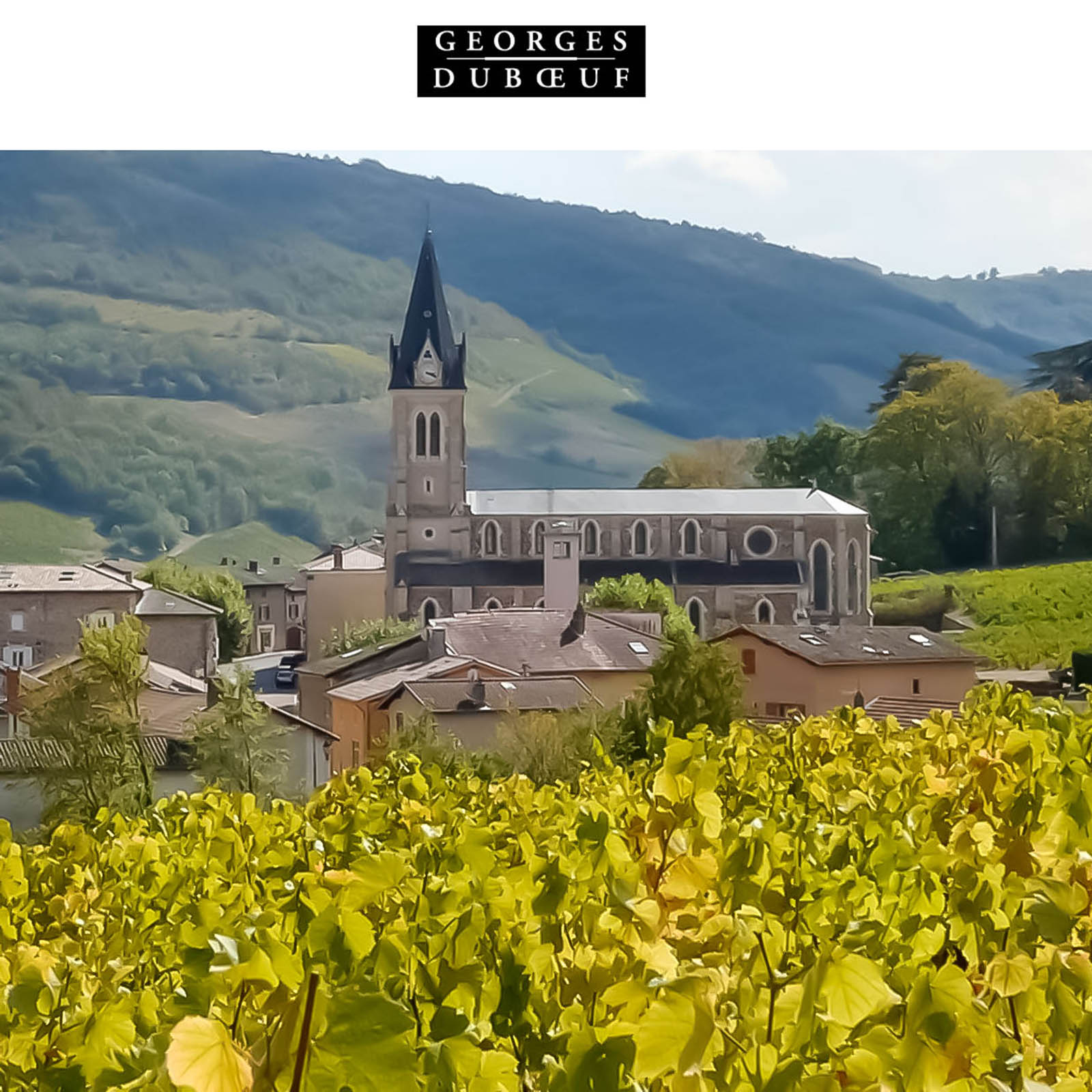Beaujolais Villages 2026 Nouveau