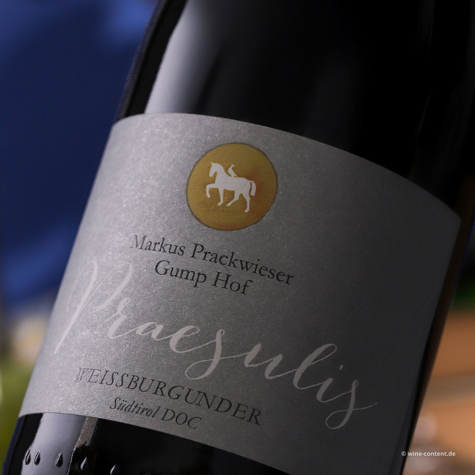 Weissburgunder 2023 Praesulis