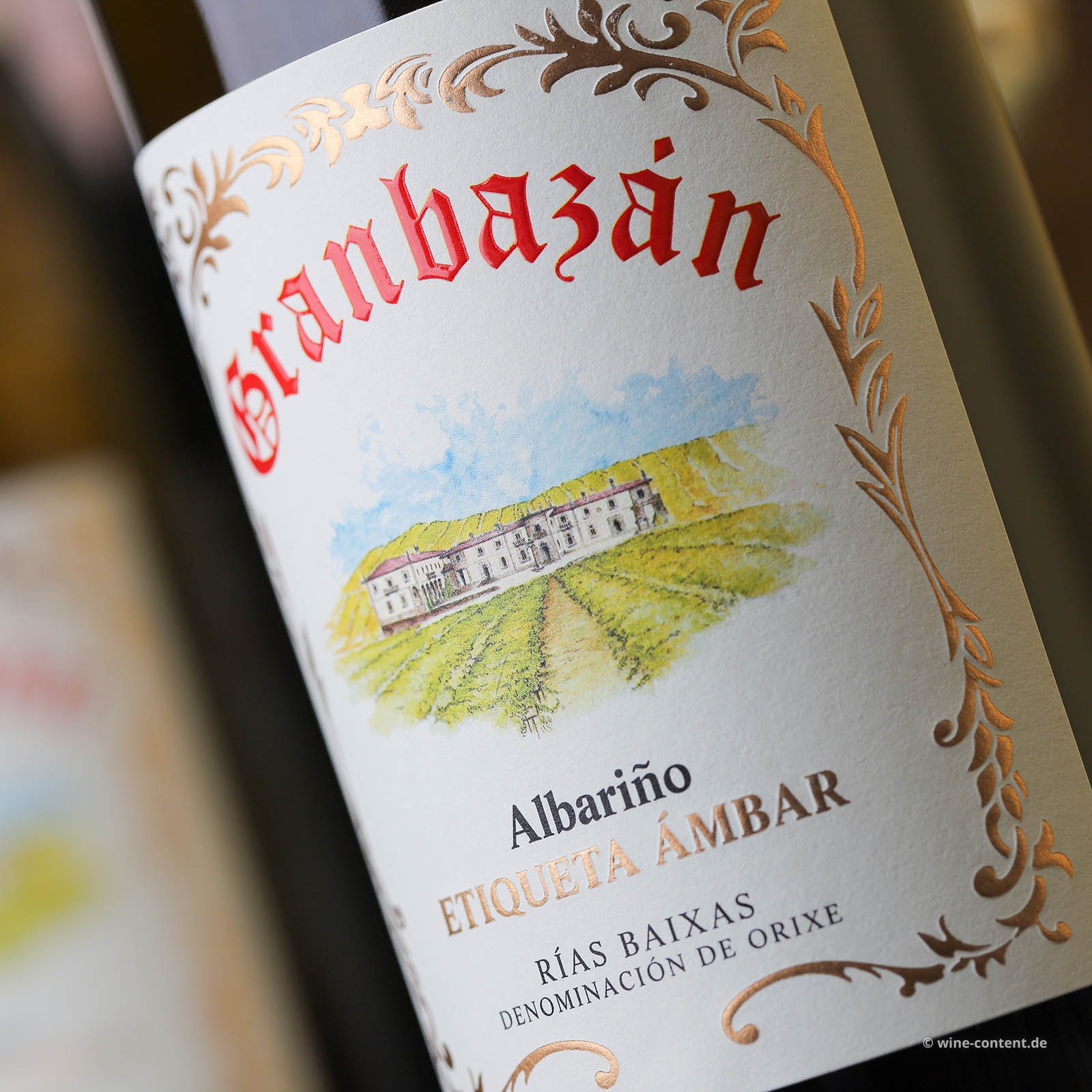 6er-Sparpaket Albariño 2024 Etiqueta Ámbar 6er-Sparpaket Albariño 2024 Etiqueta Ámbar