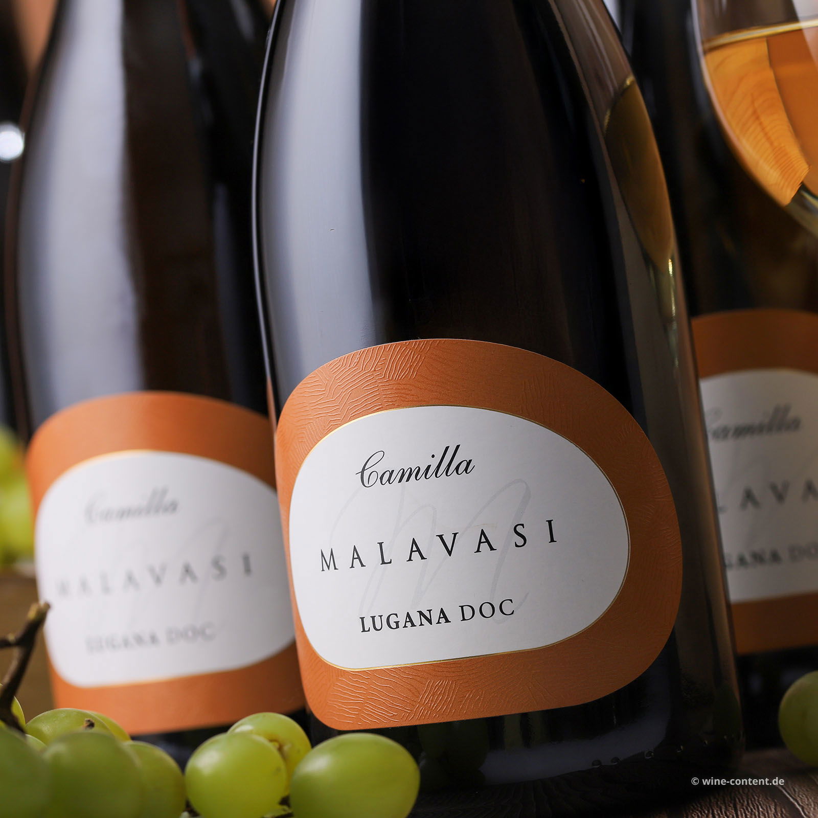 6er-Sparpaket Lugana 2024 Camilla 6er-Sparpaket Lugana 2024 Camilla