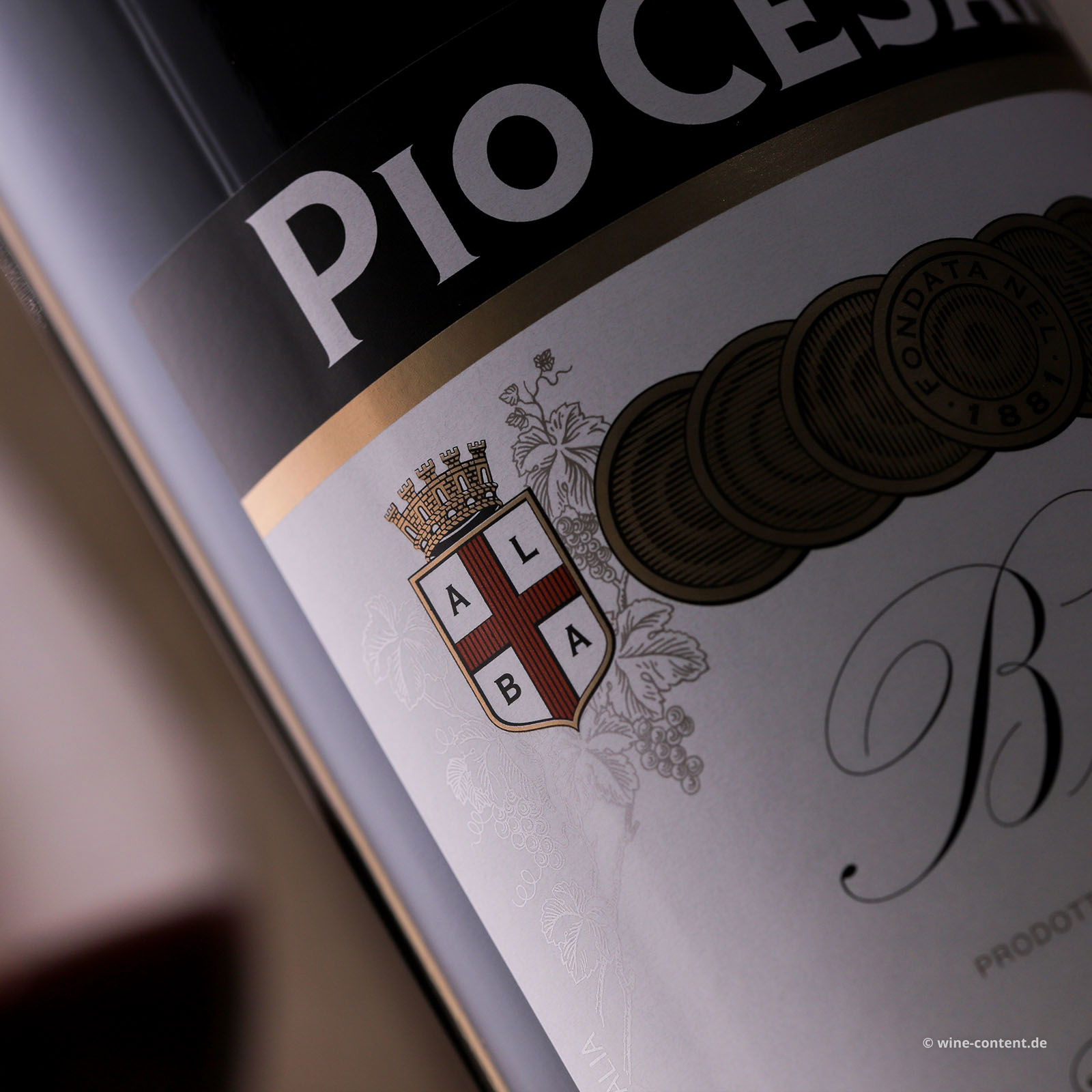 Barolo 2021 Pio