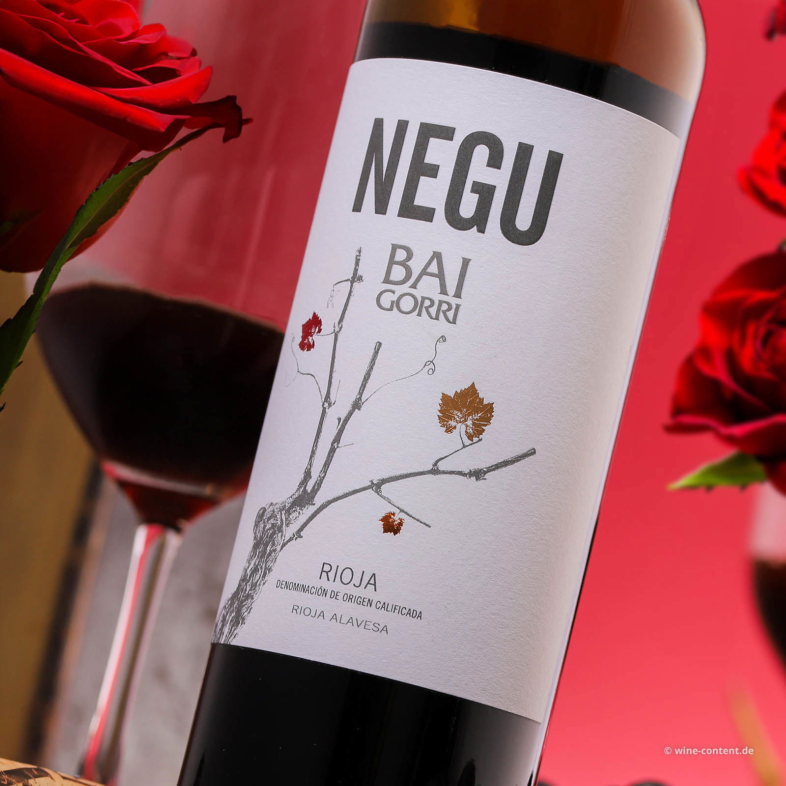 Rioja 2023 Negu Rioja 2023 Negu