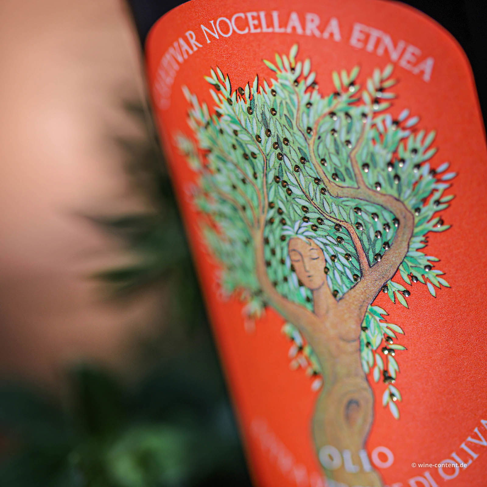 0,5 L Olivenöl Extra Vergine 2024 Nocellara