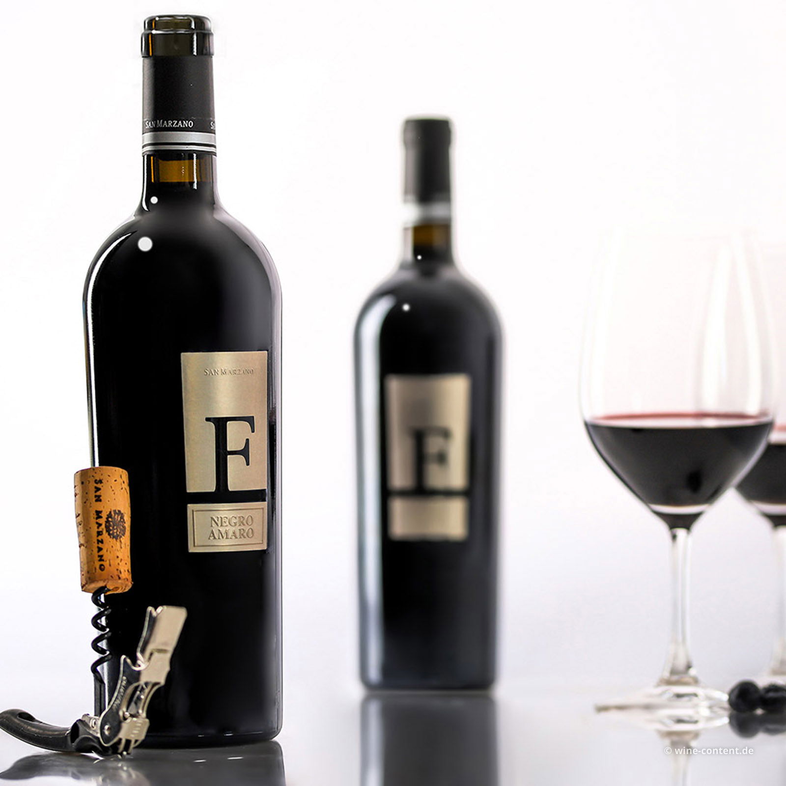 Negroamaro Salento 2021 F
