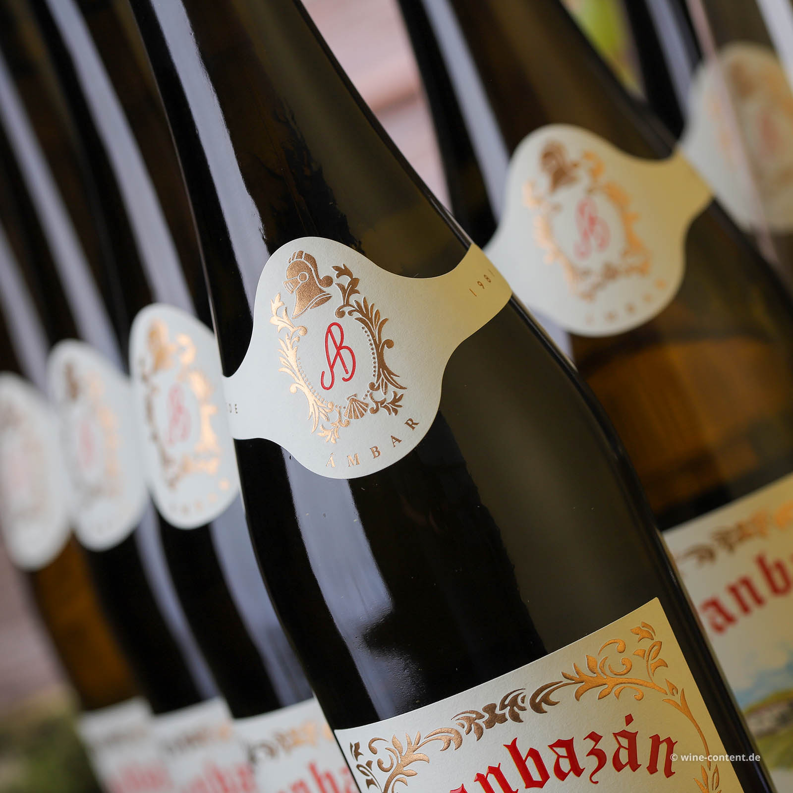 6er-Sparpaket Albariño 2024 Etiqueta Ámbar 6er-Sparpaket Albariño 2024 Etiqueta Ámbar