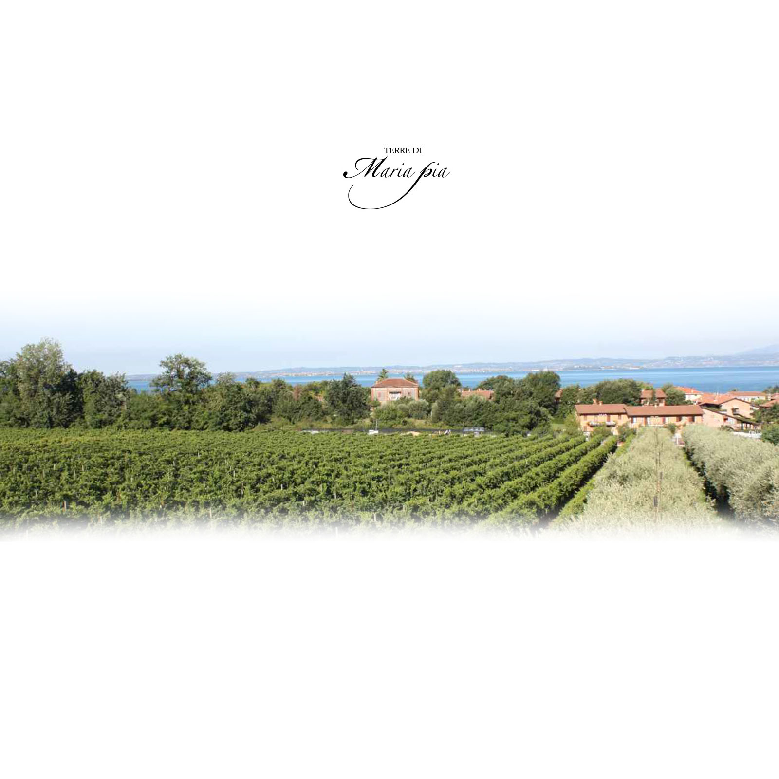 Chiaretto di Bardolino Classico 2024 Matié Chiaretto di Bardolino Classico 2024 Matié