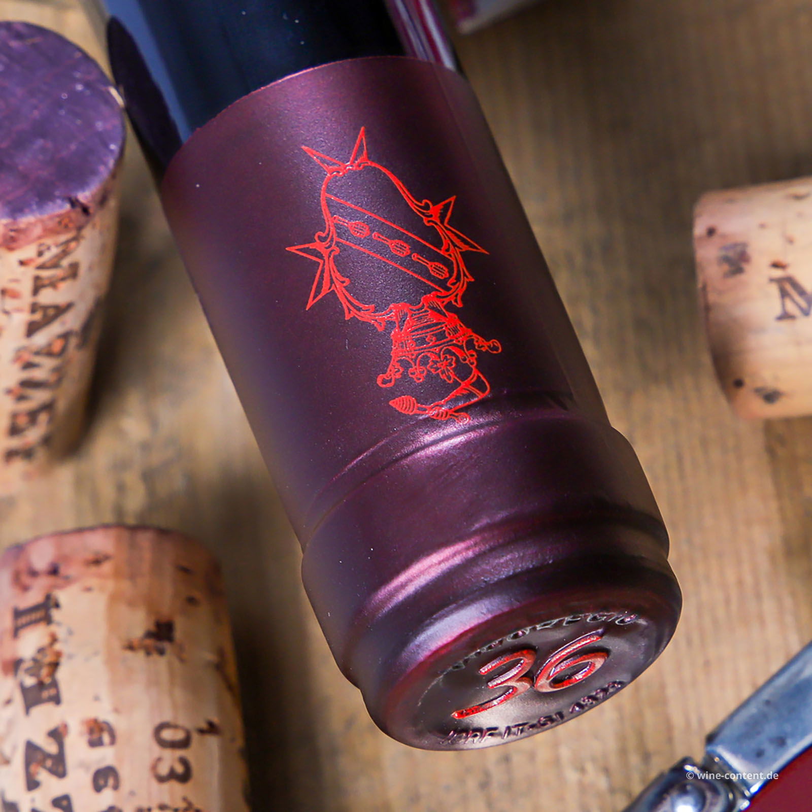 Chianti Classico Gran Selezione 2021 Vicoregio 36