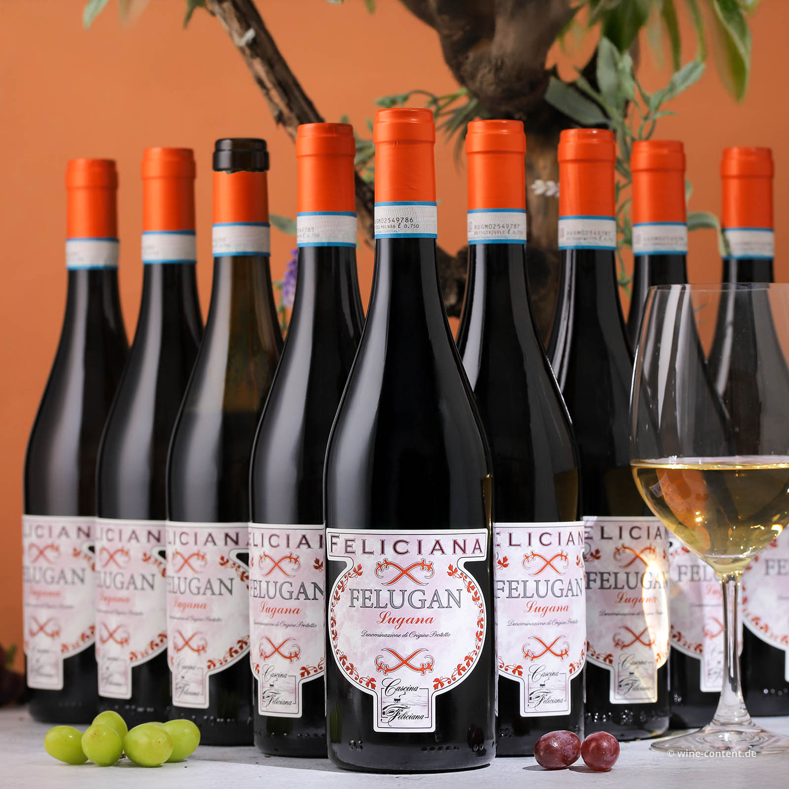 9er-Sparpaket Lugana 2024 Felugan