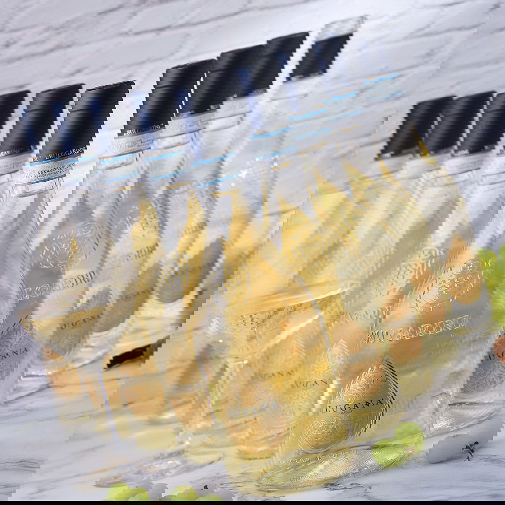 9er-Sparpaket Lugana 2024 Gocce d'Oro