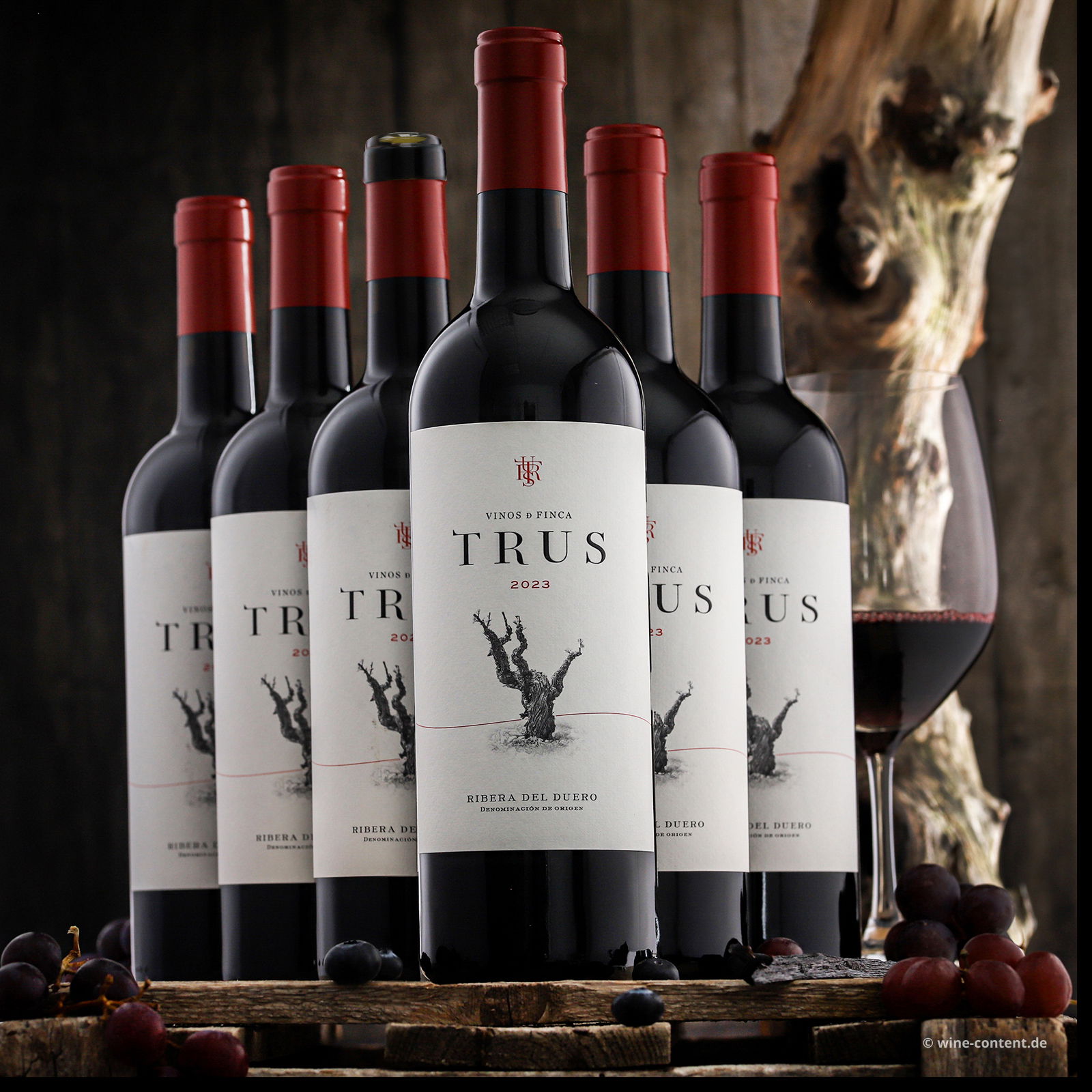 6er-Sparpaket Tempranillo 2023 Roble 6er-Sparpaket Tempranillo 2023 Roble