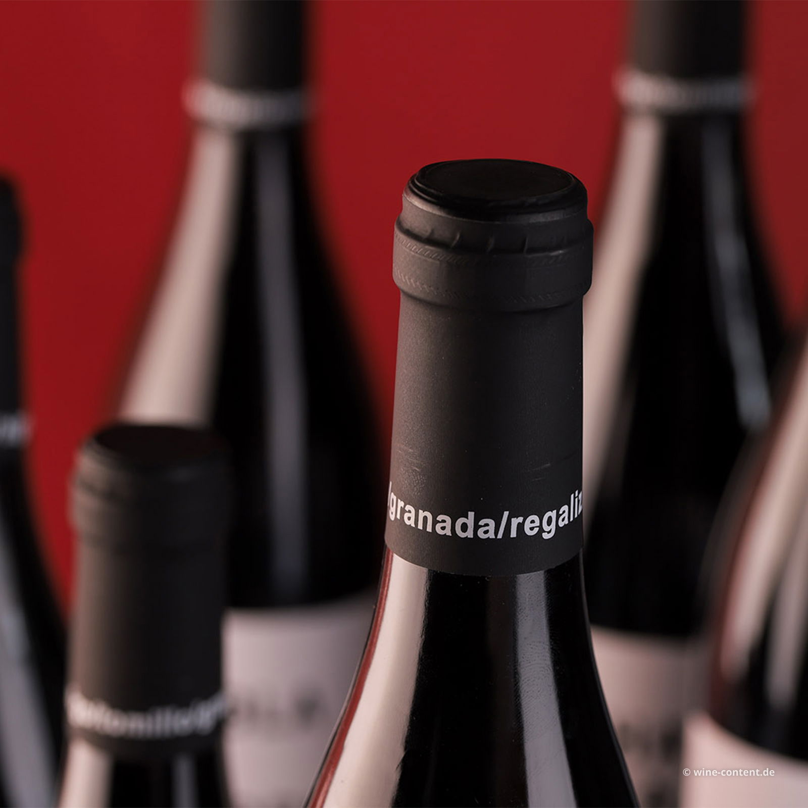 6er-Sparpaket Habla la Tierra 2023