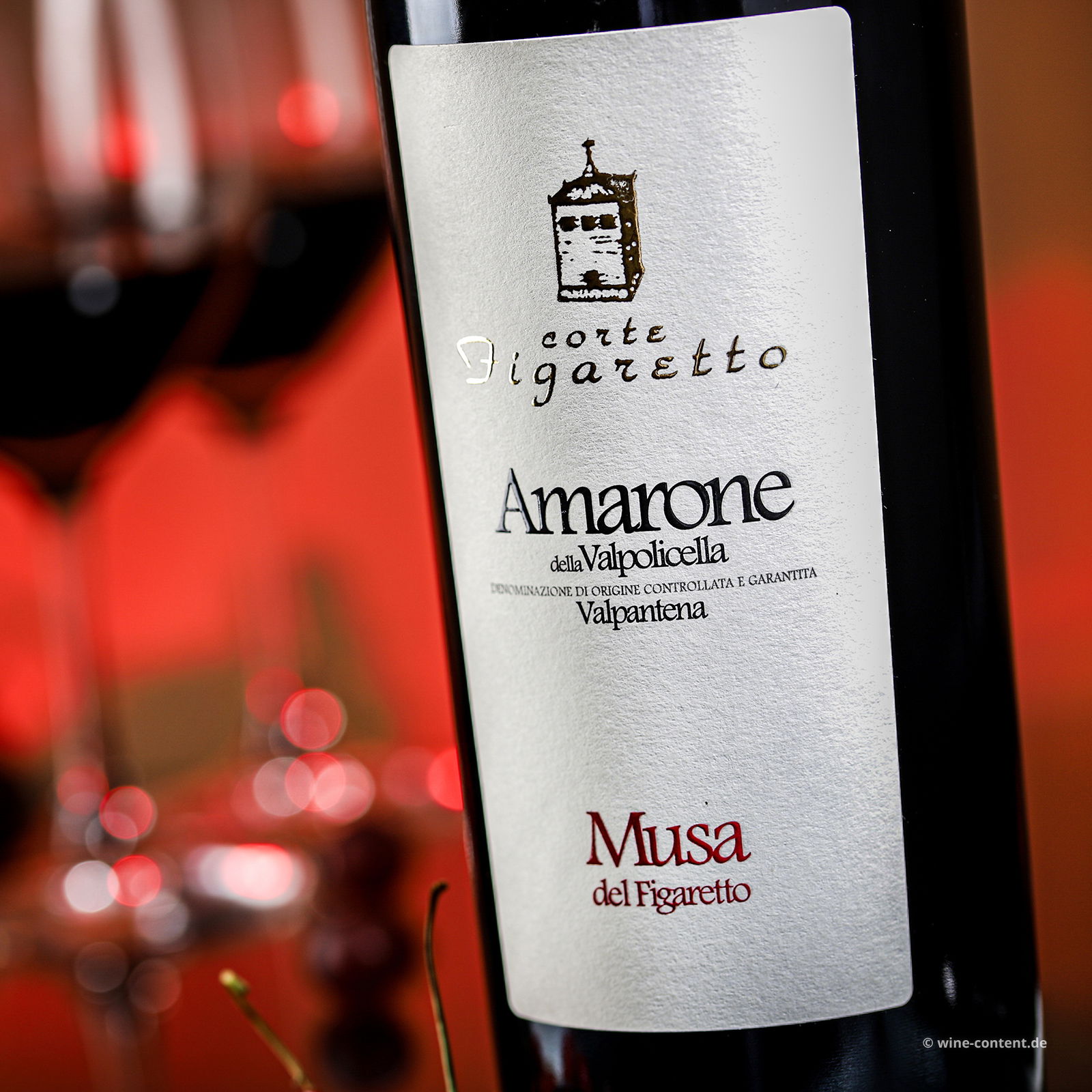 Amarone Valpantena 2020 Musa del Figaretto