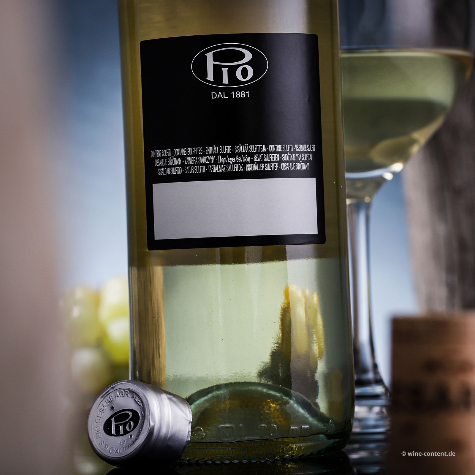 Gavi 2024