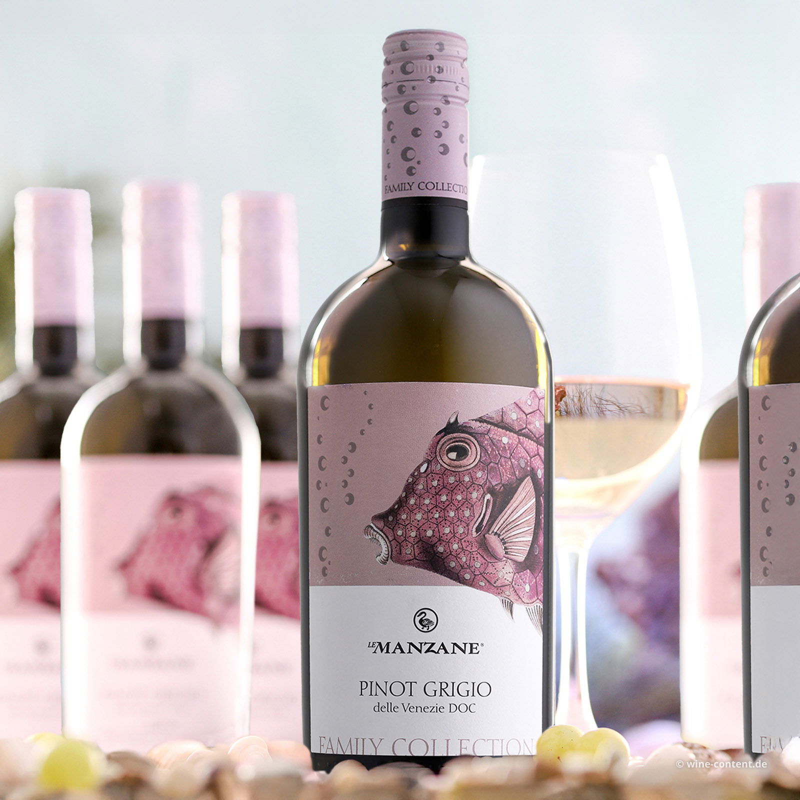 6er-Sparpaket Pinot Grigio delle Venezie 2024