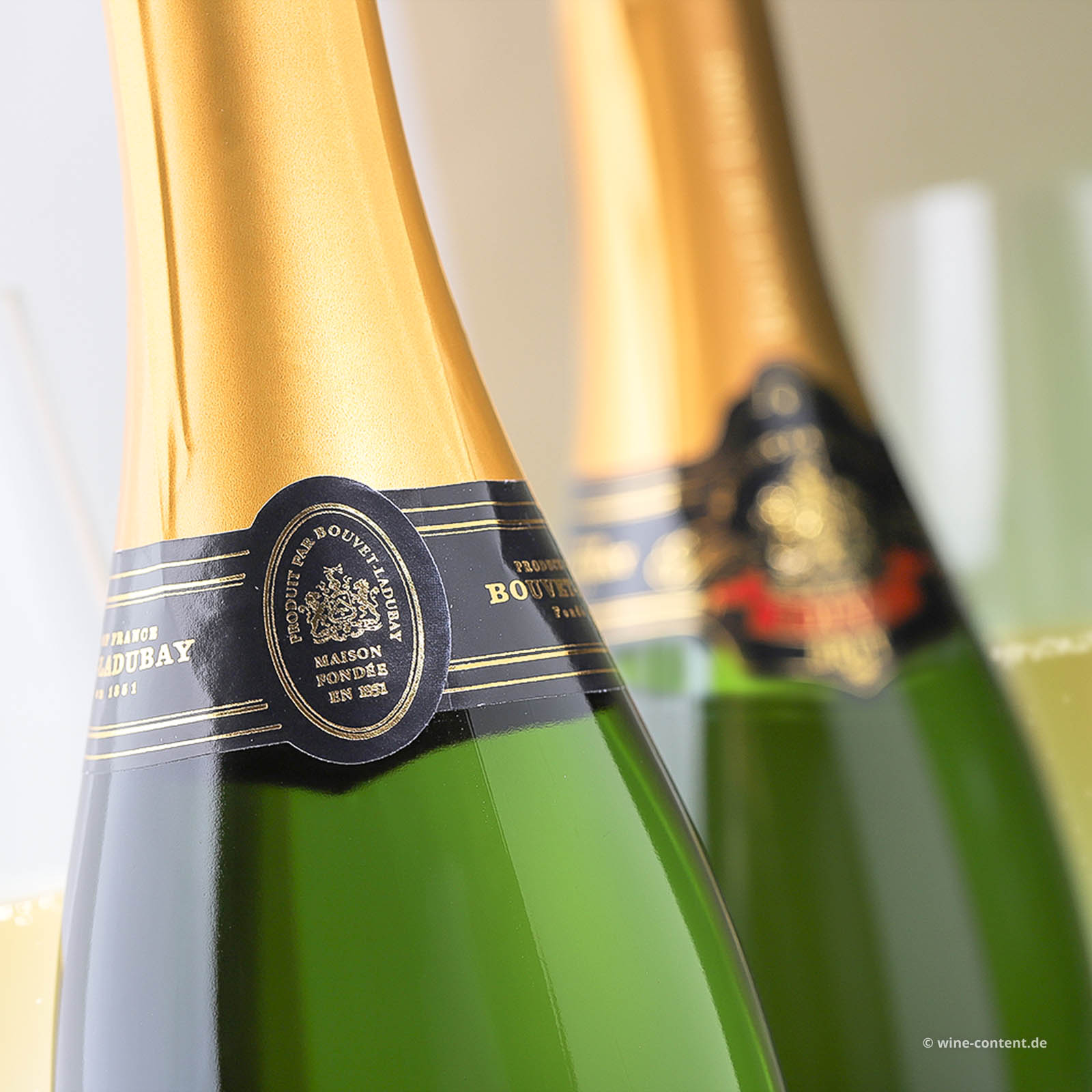 Crémant de Loire Excellence Brut Crémant de Loire Excellence Brut