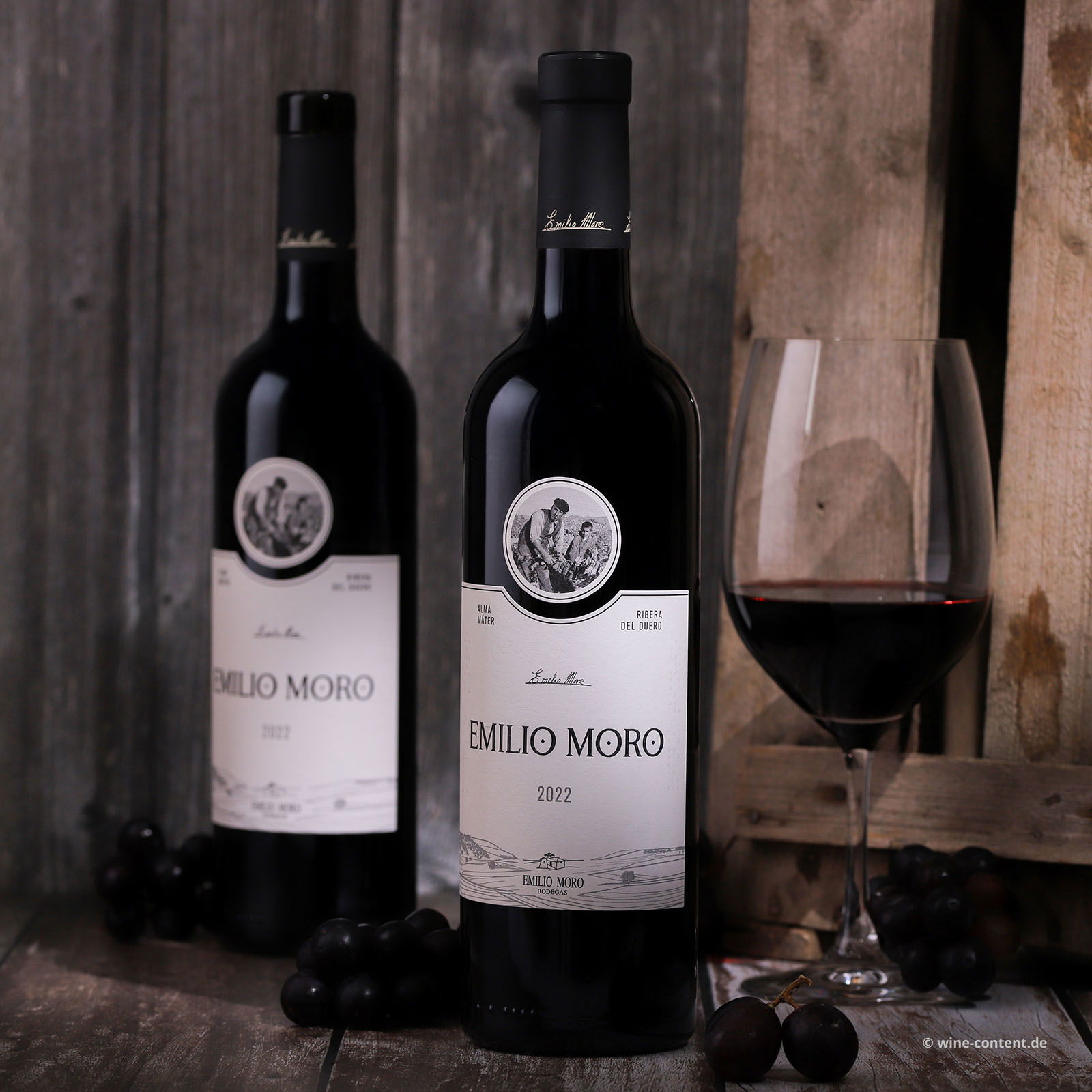 Tempranillo 2022 Emilio Moro Tempranillo 2022 Emilio Moro