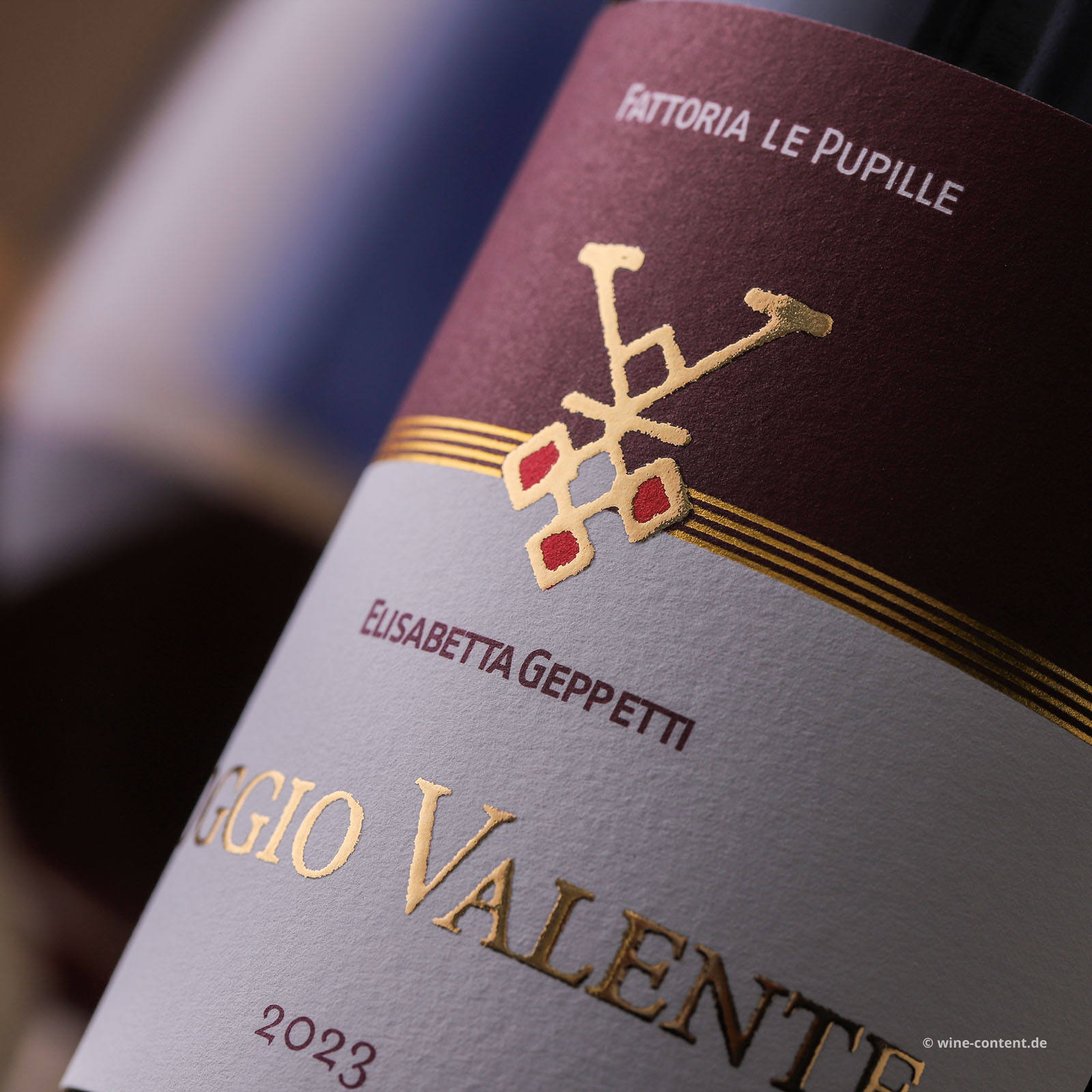 Poggio Valente 2023