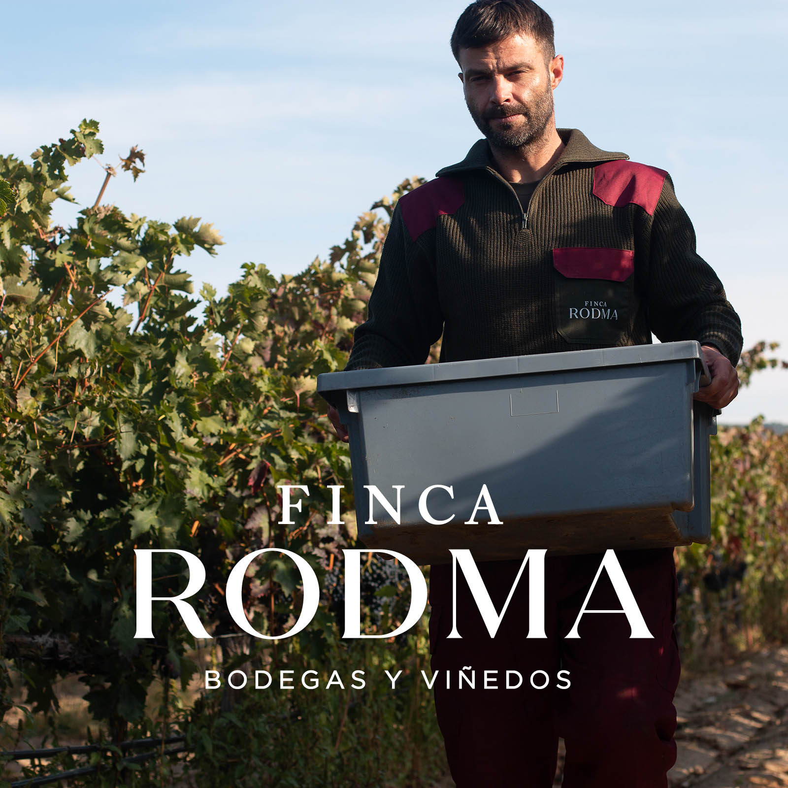 Tempranillo 2020 Selección