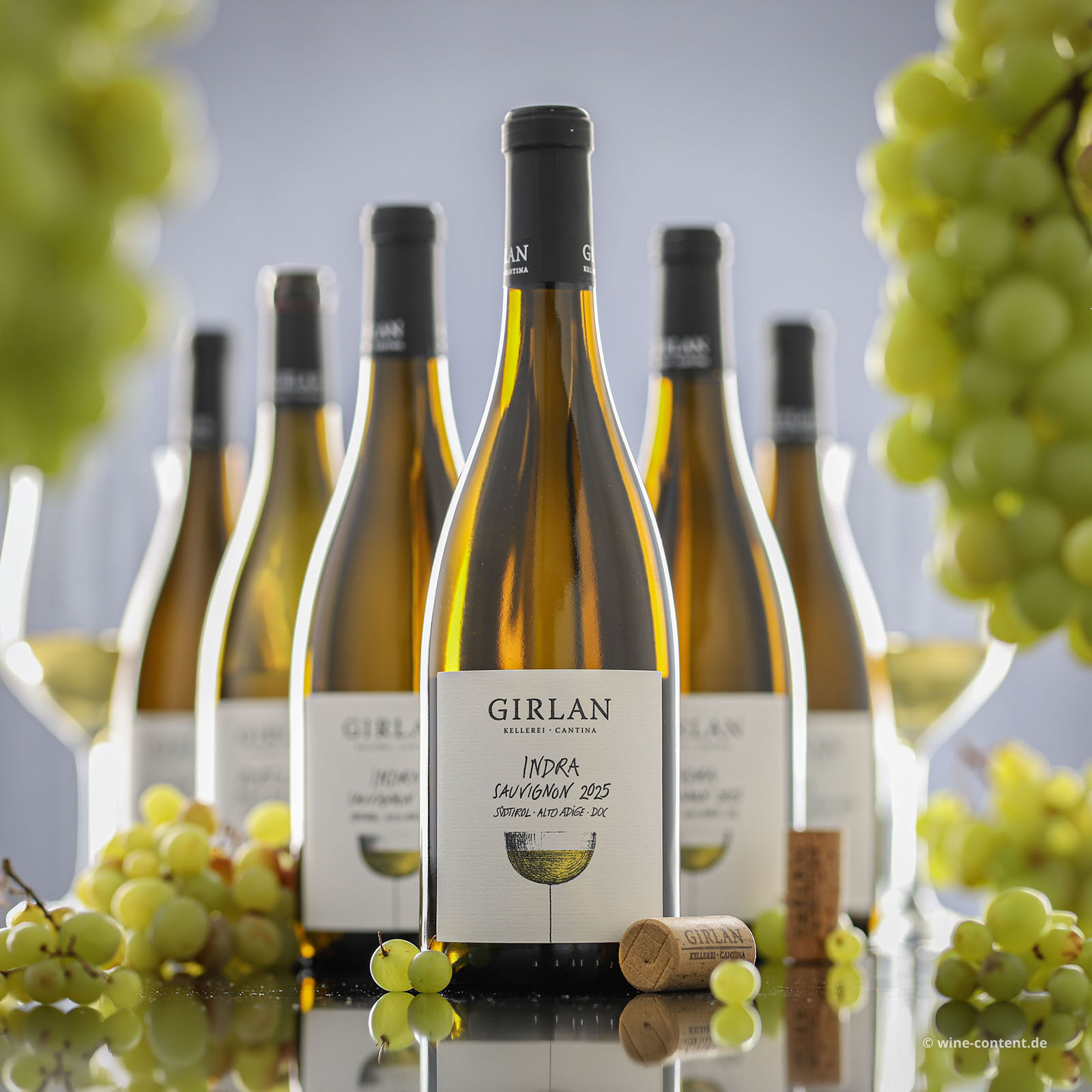 6er-Sparpaket Sauvignon Blanc 2025 Indra