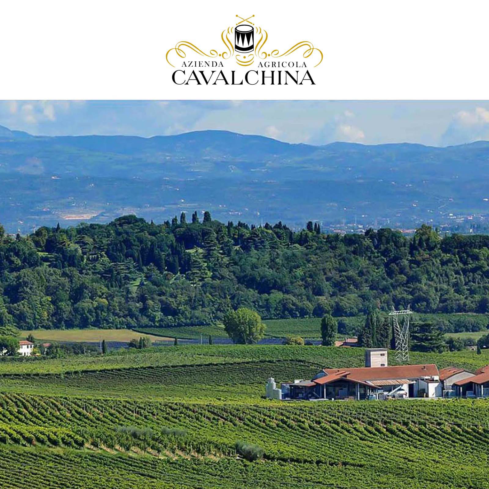 6er-Sparpaket Custoza 2025