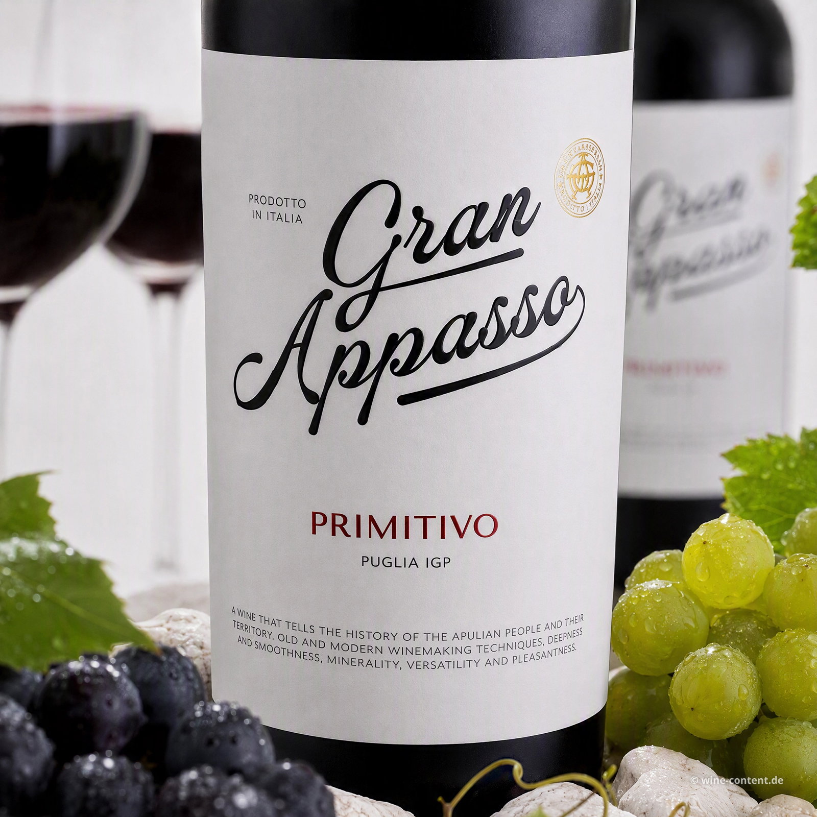 Primitivo 2025 Gran Appasso
