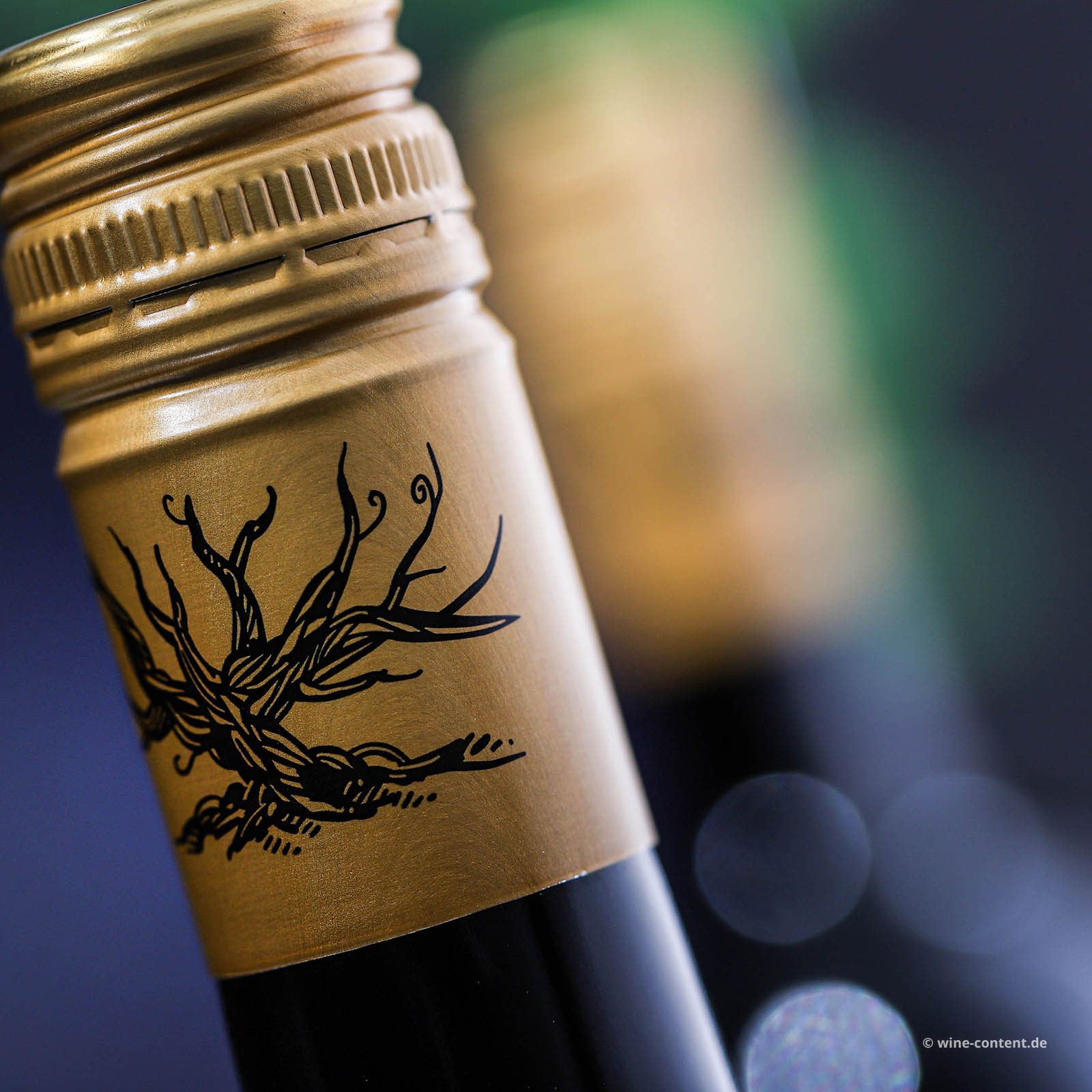 Zinfandel 2023 Wanted