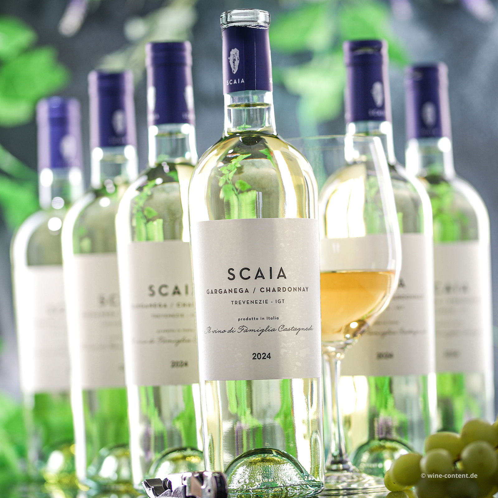 6er-Sparpaket Scaia Bianco 2024