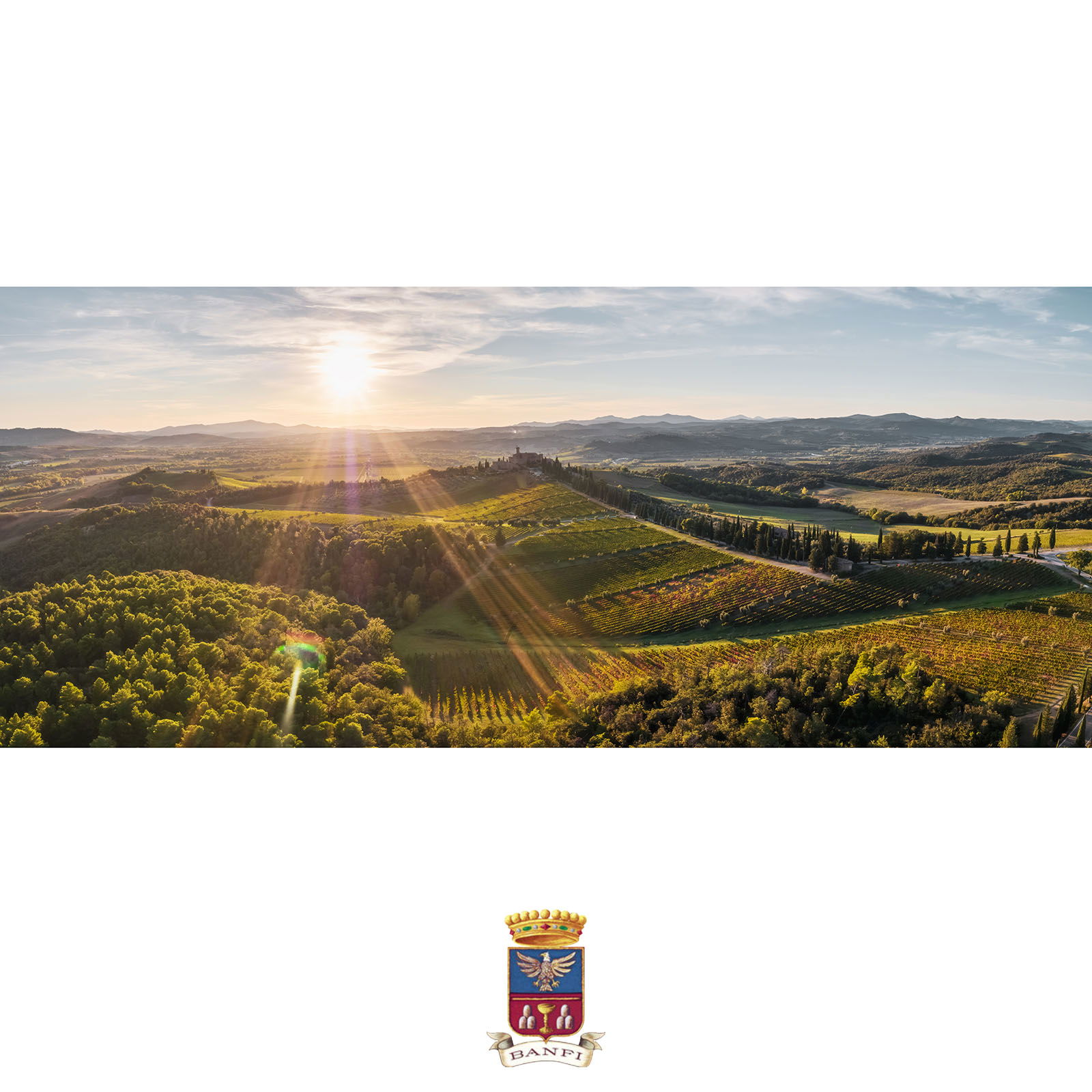 Brunello di Montalcino 2019 Poggio alle Mura