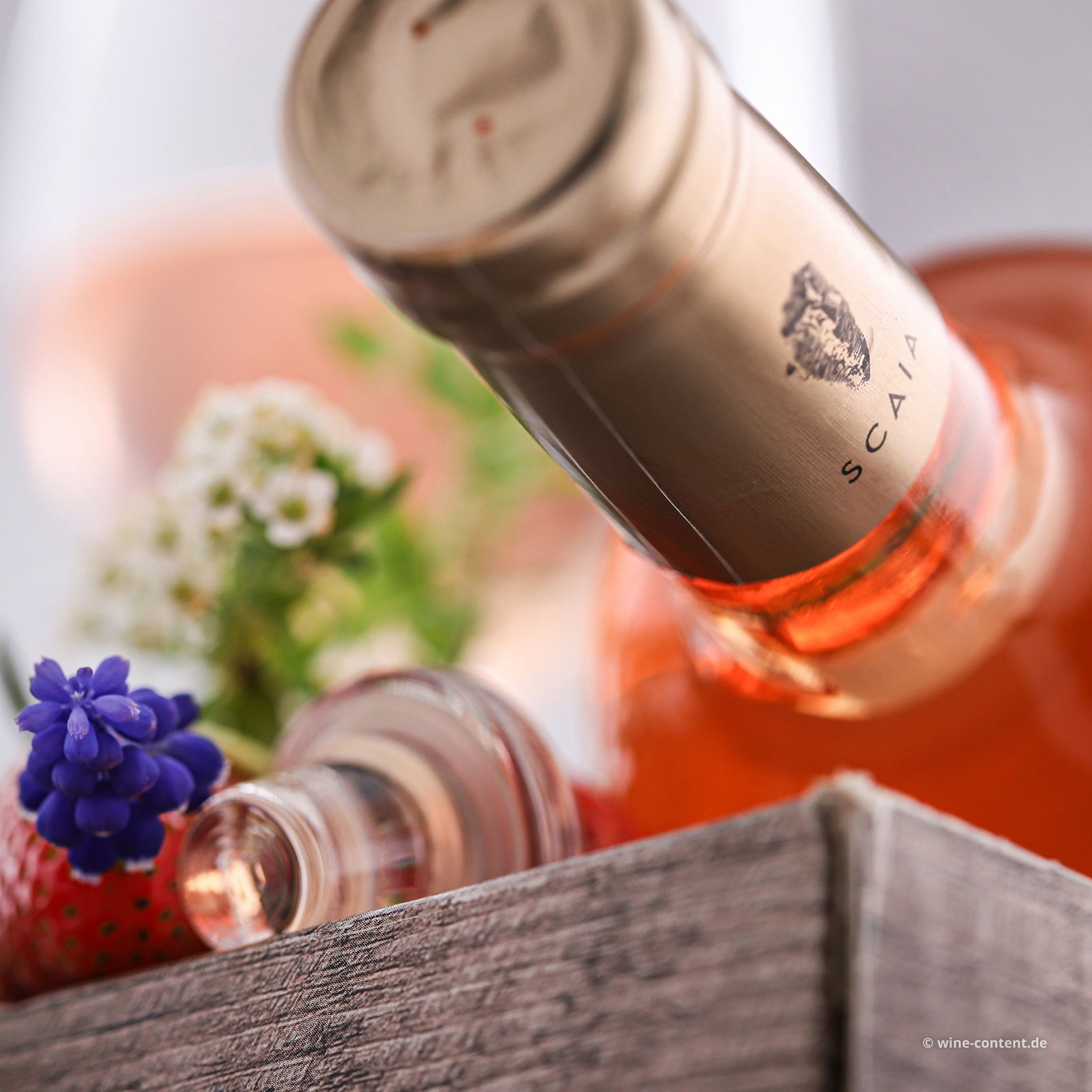 Scaia Rosato 2024