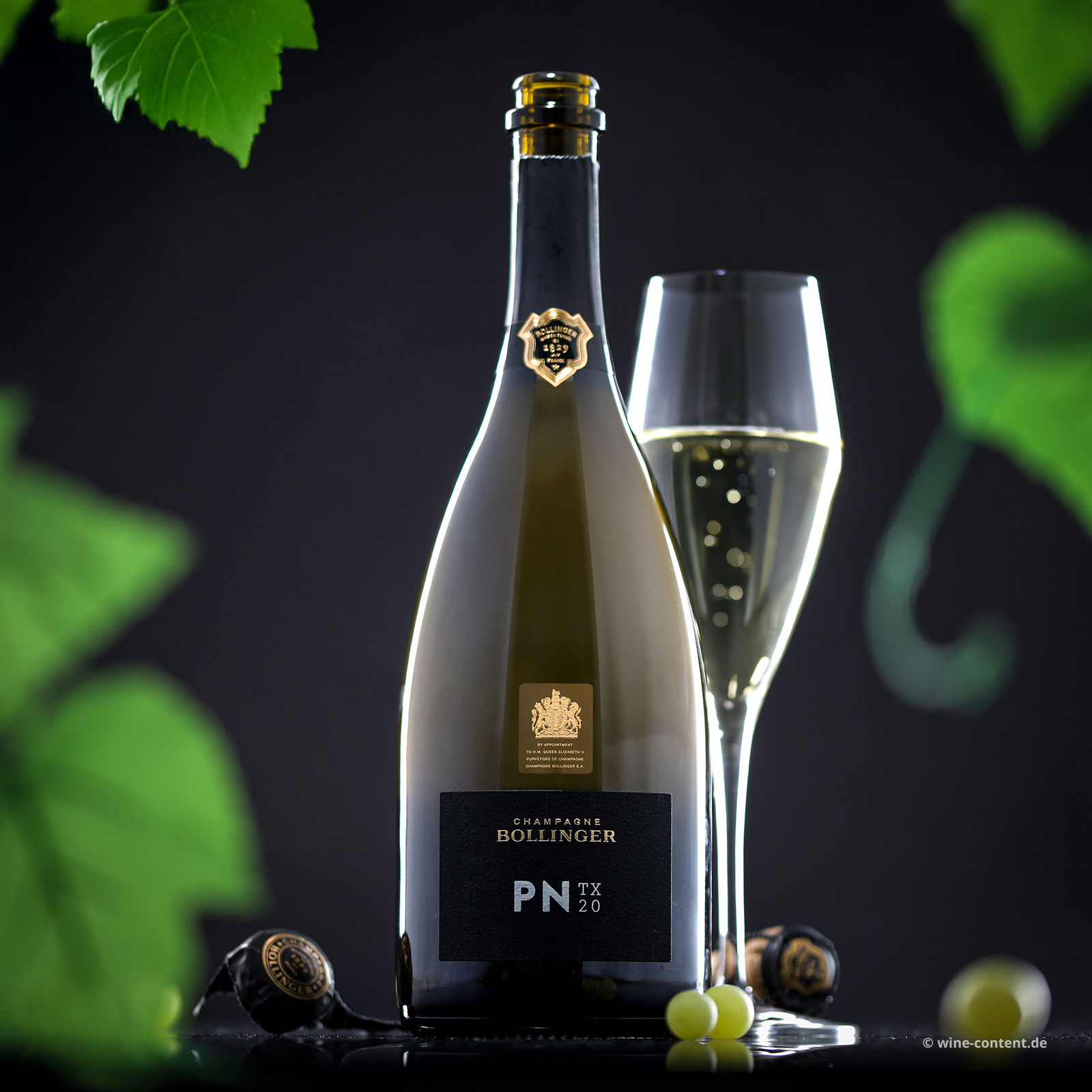 Champagner PN TX20 Brut Champagner PN TX20 Brut