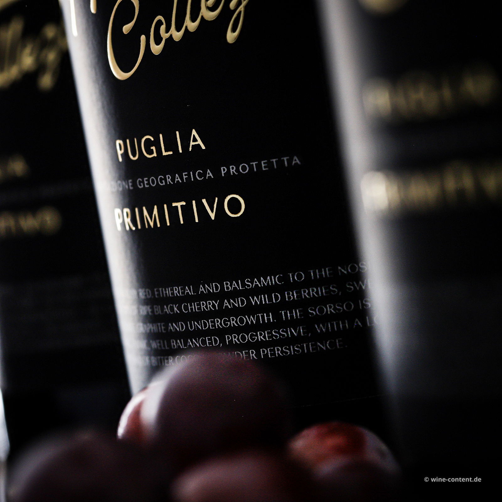 6er-Sparpaket Primitivo 2023 Gran Appasso Collezione