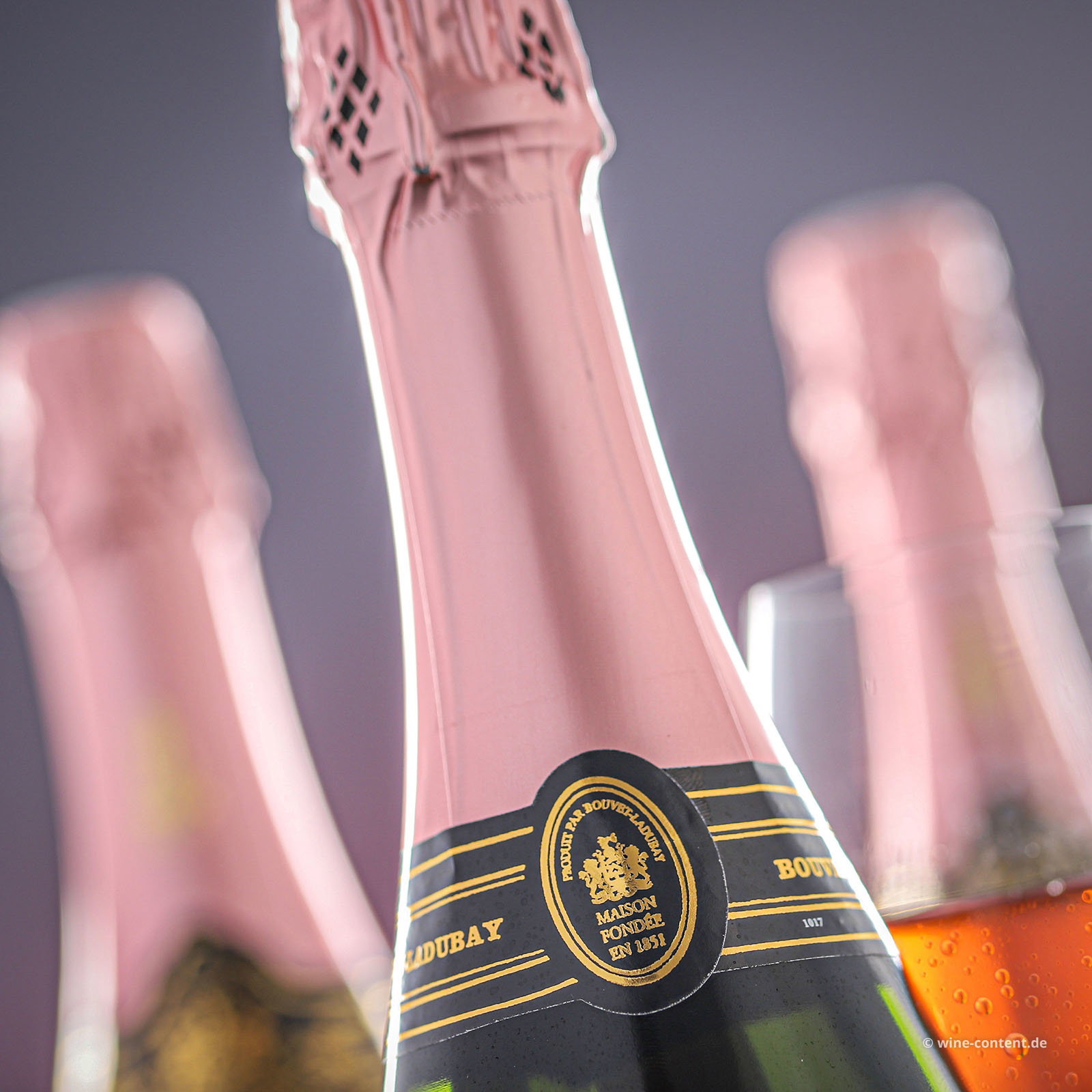 6er-Sparpaket Crémant de Loire Rosé Excellence Brut - NEU