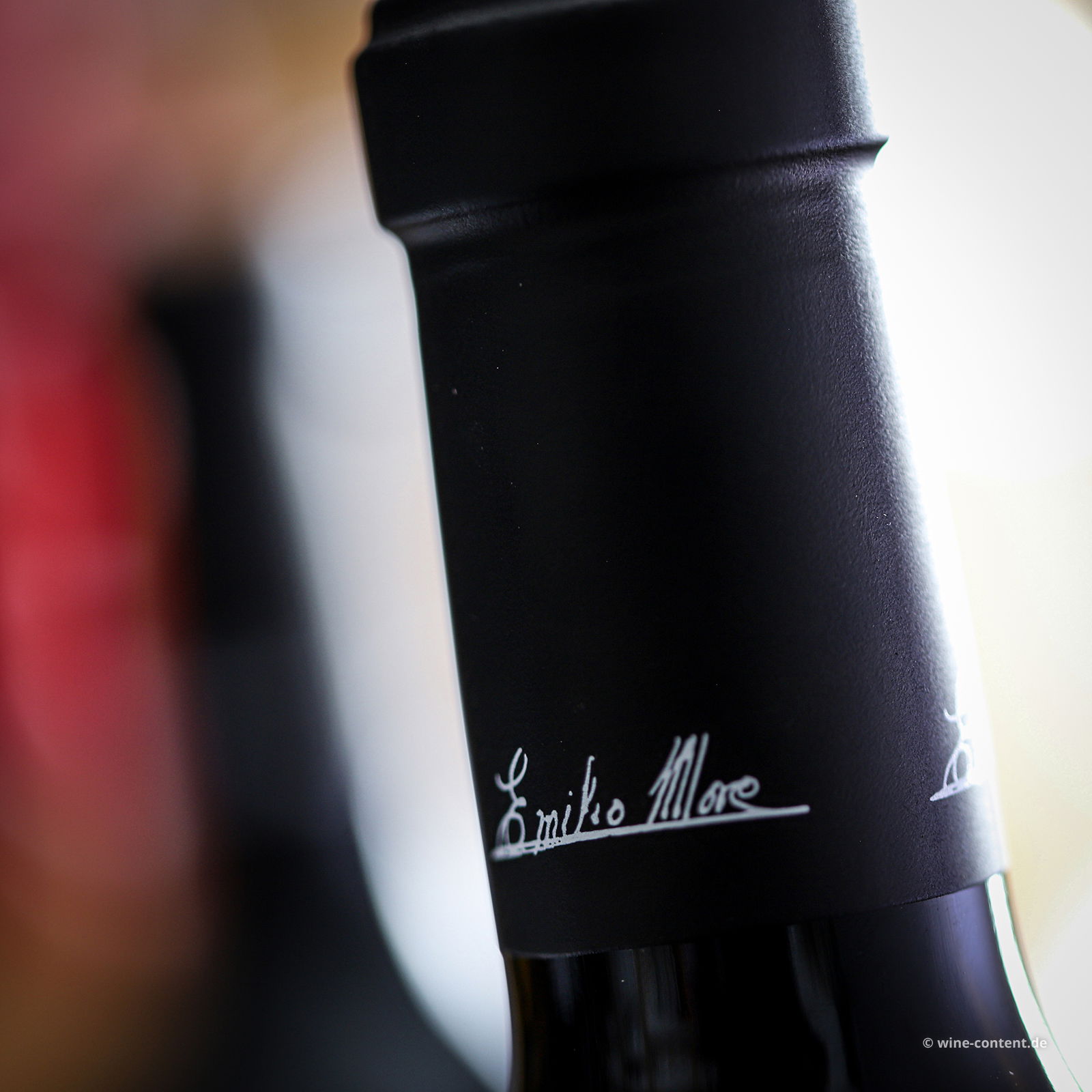 Tempranillo 2022 Vendimia Seleccionada